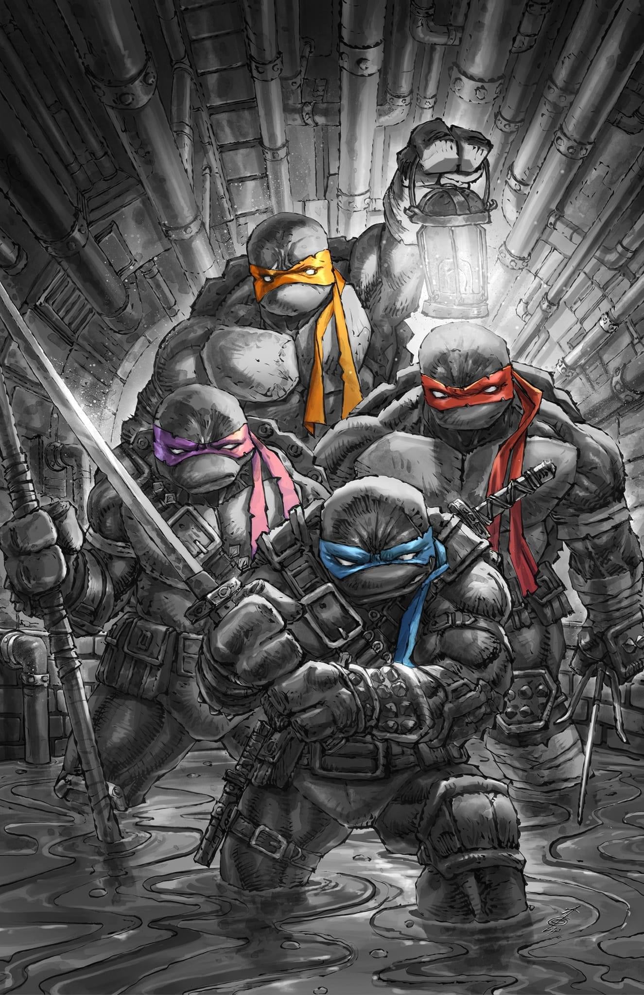 TEENAGE MUTANT NINJA TURTLES 2024 #1 ALAN QUAH EXCLUSIVE VARIANTS - Slab City Comics