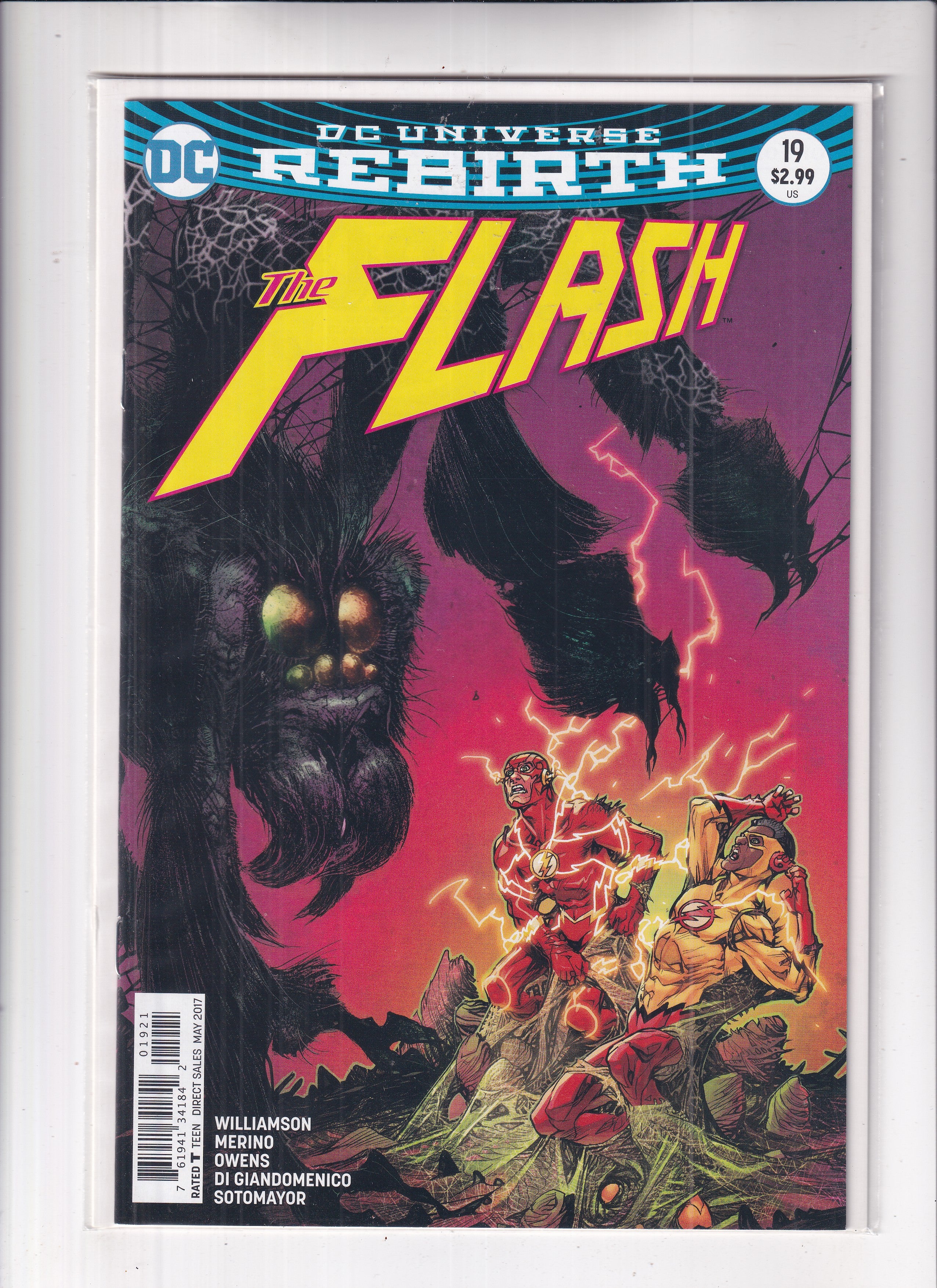 Flash #19
