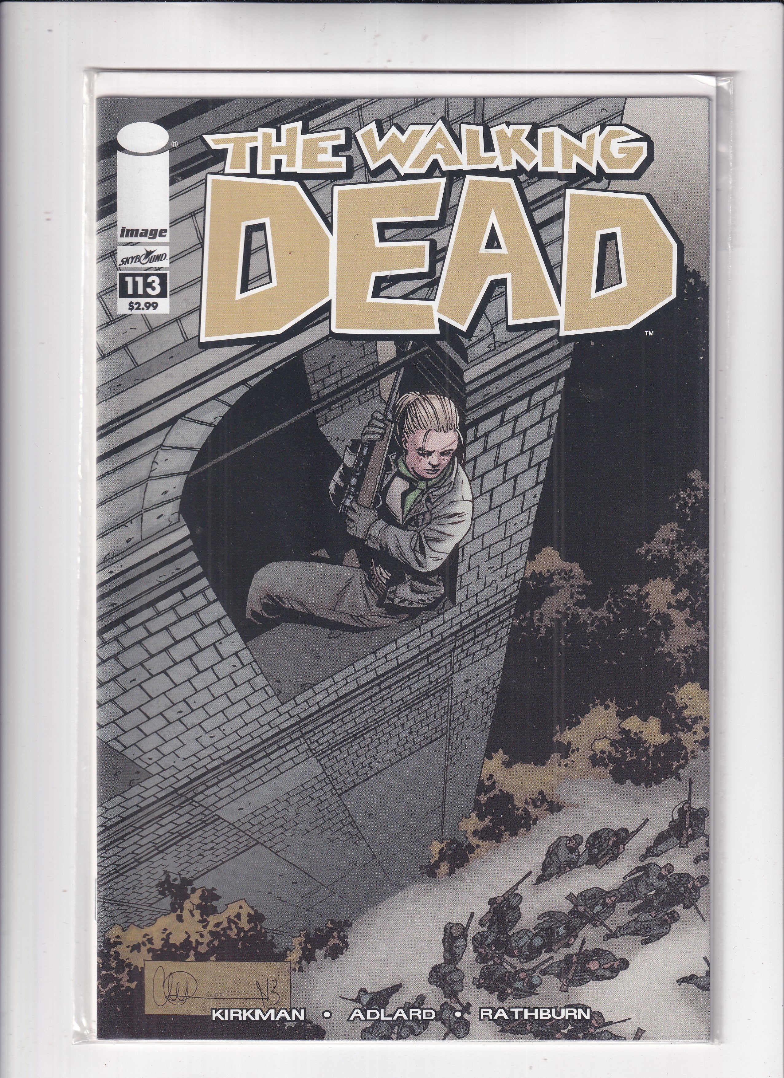 Walking Dead #113