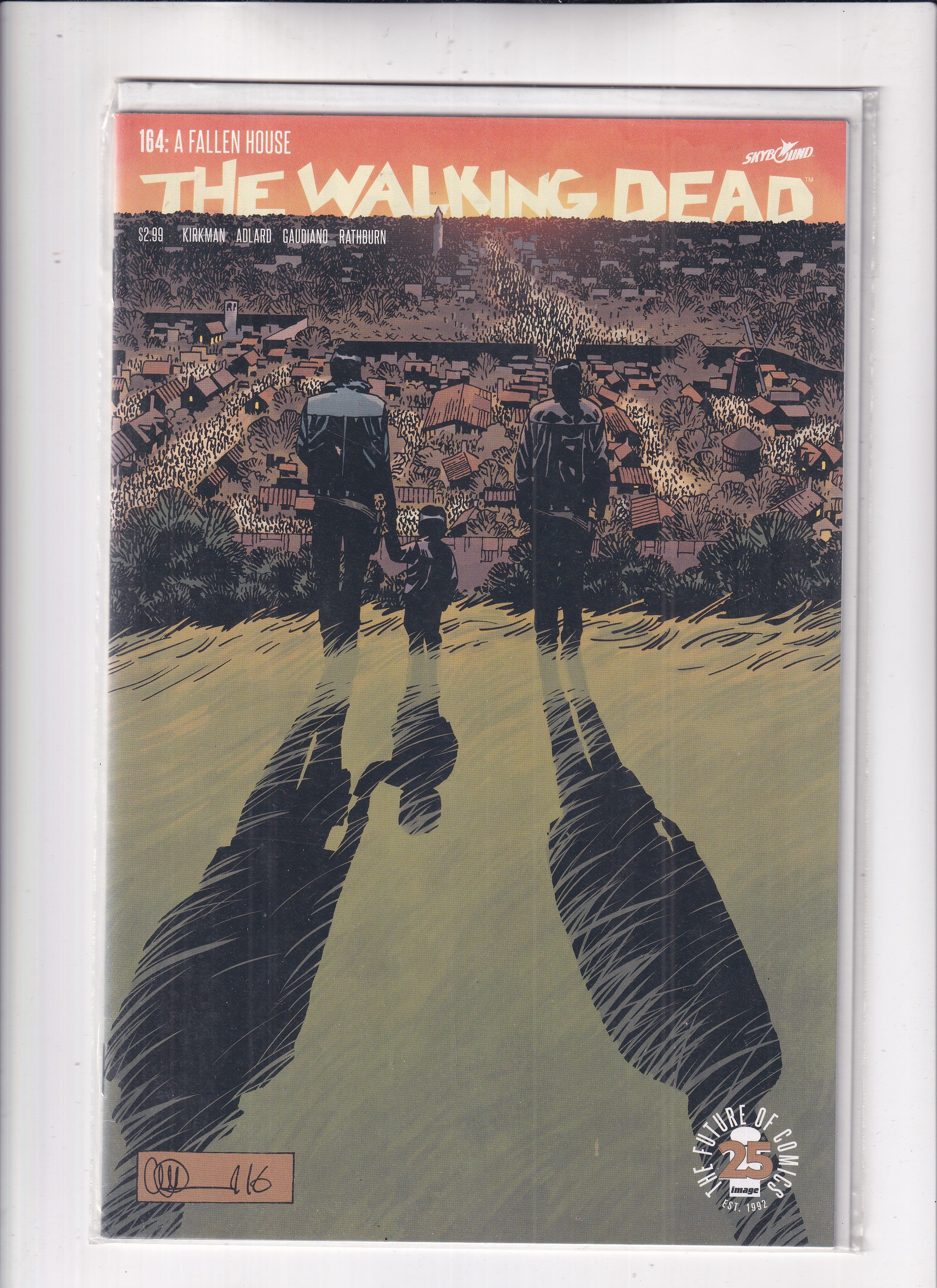 Walking Dead #164