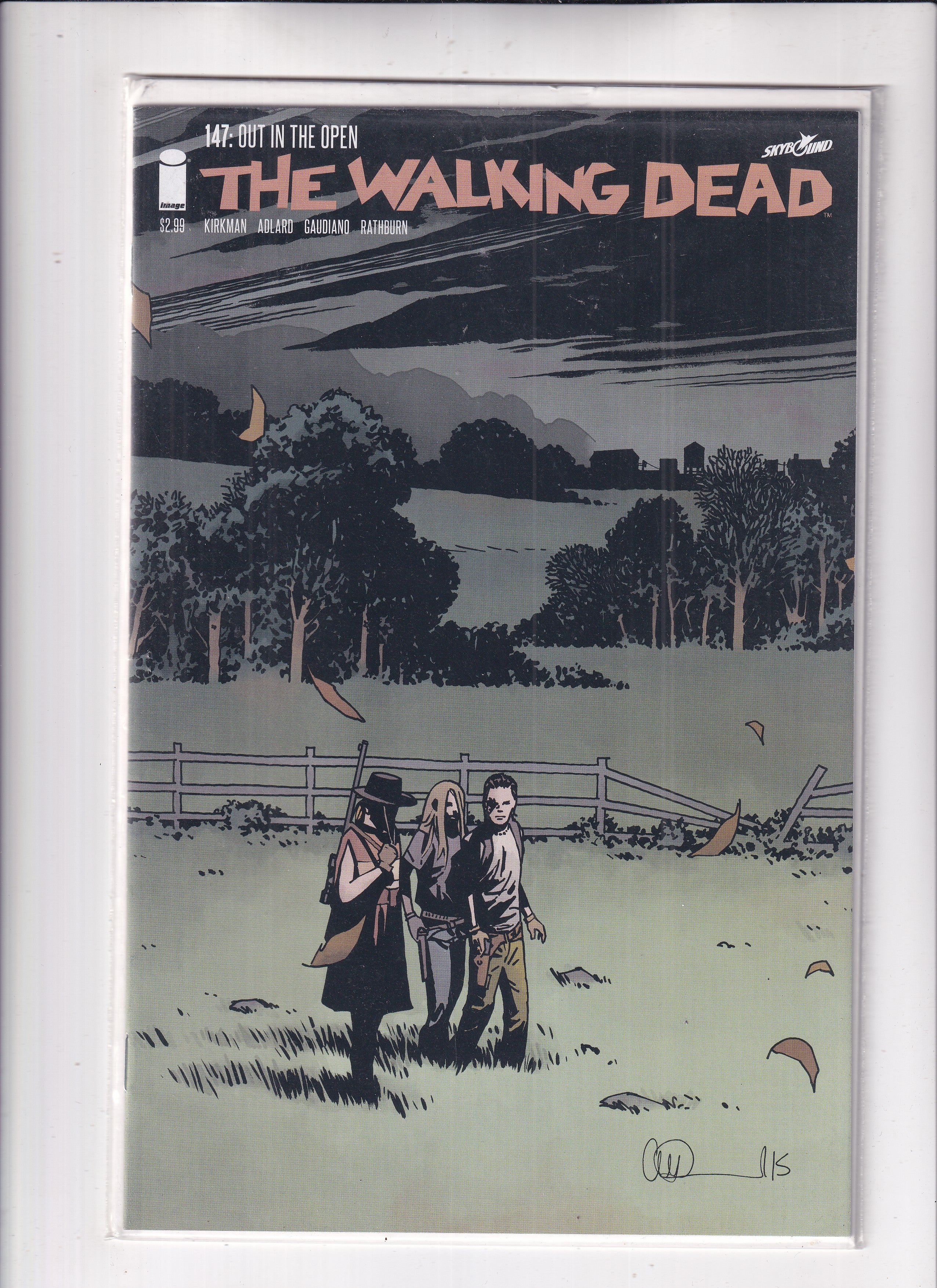 Walking Dead #147