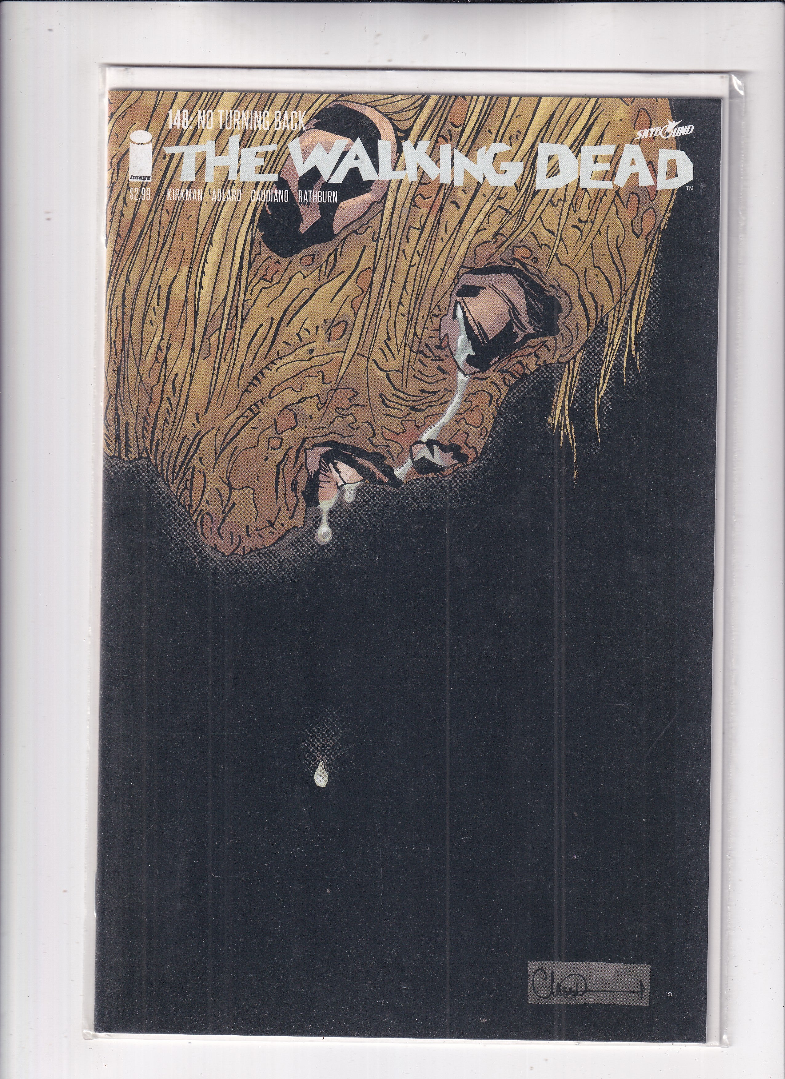 Walking Dead #148
