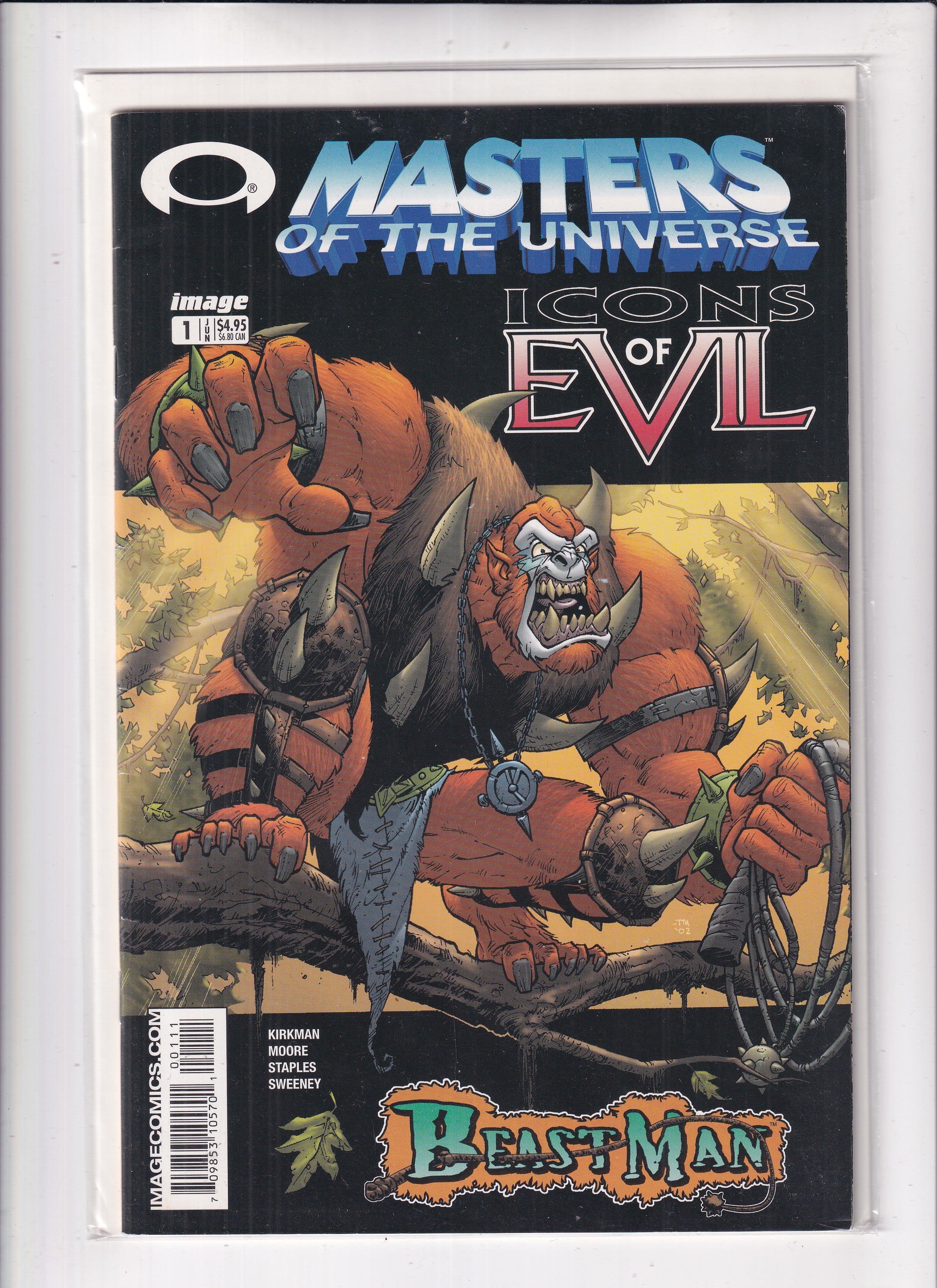 Masters Of The Universe Icon Of Evil #1