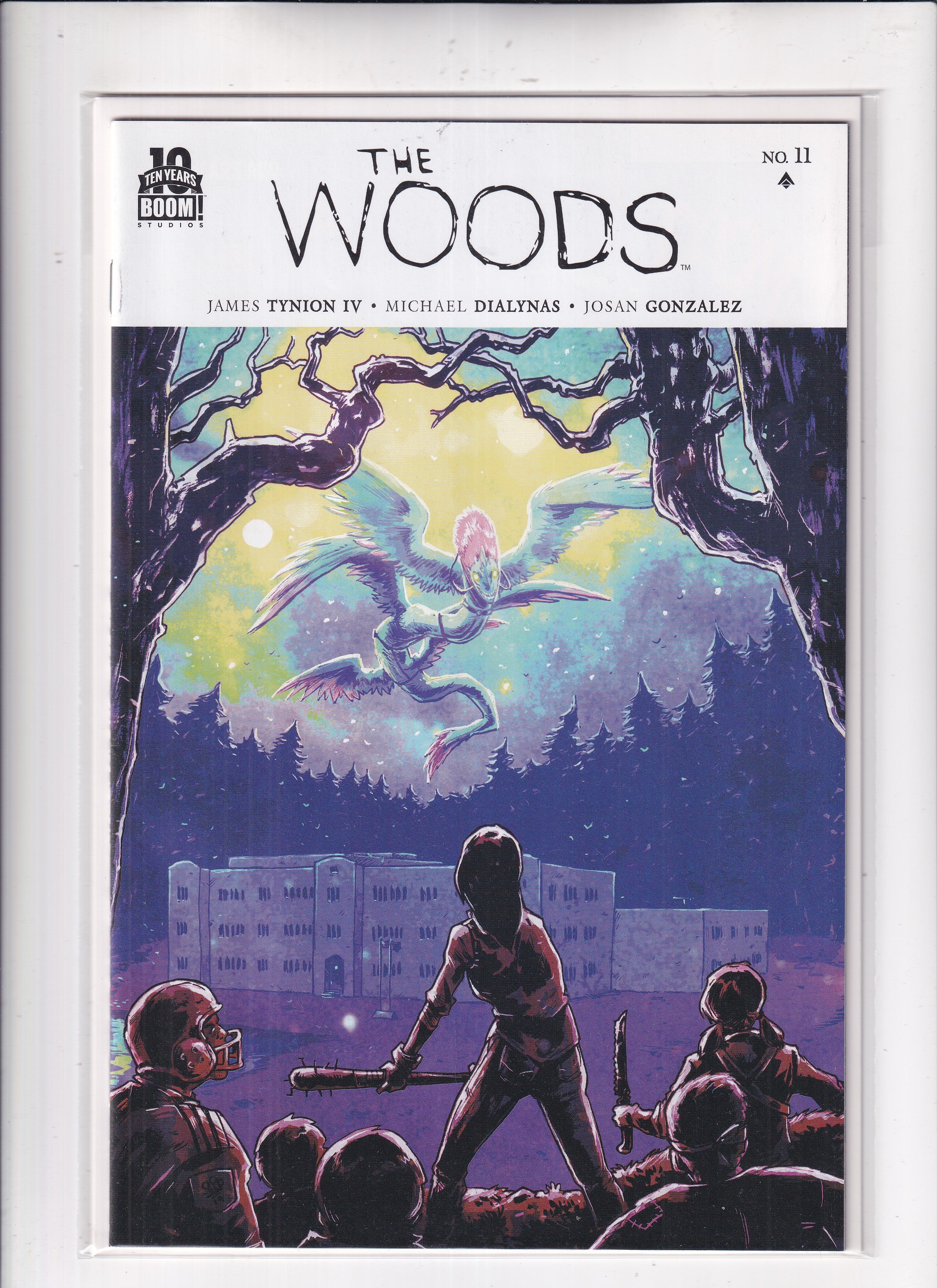 Woods #11