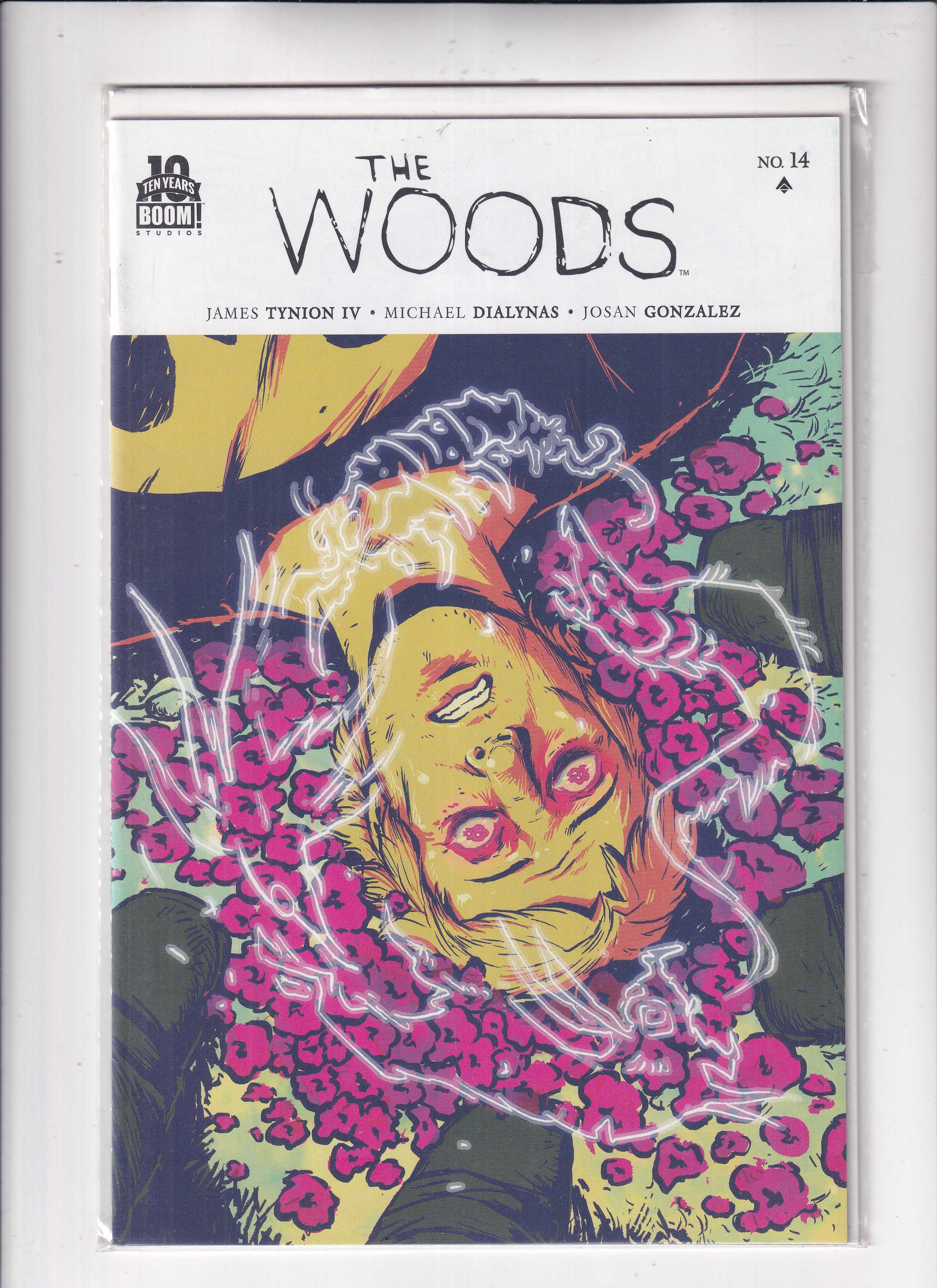 Woods #14