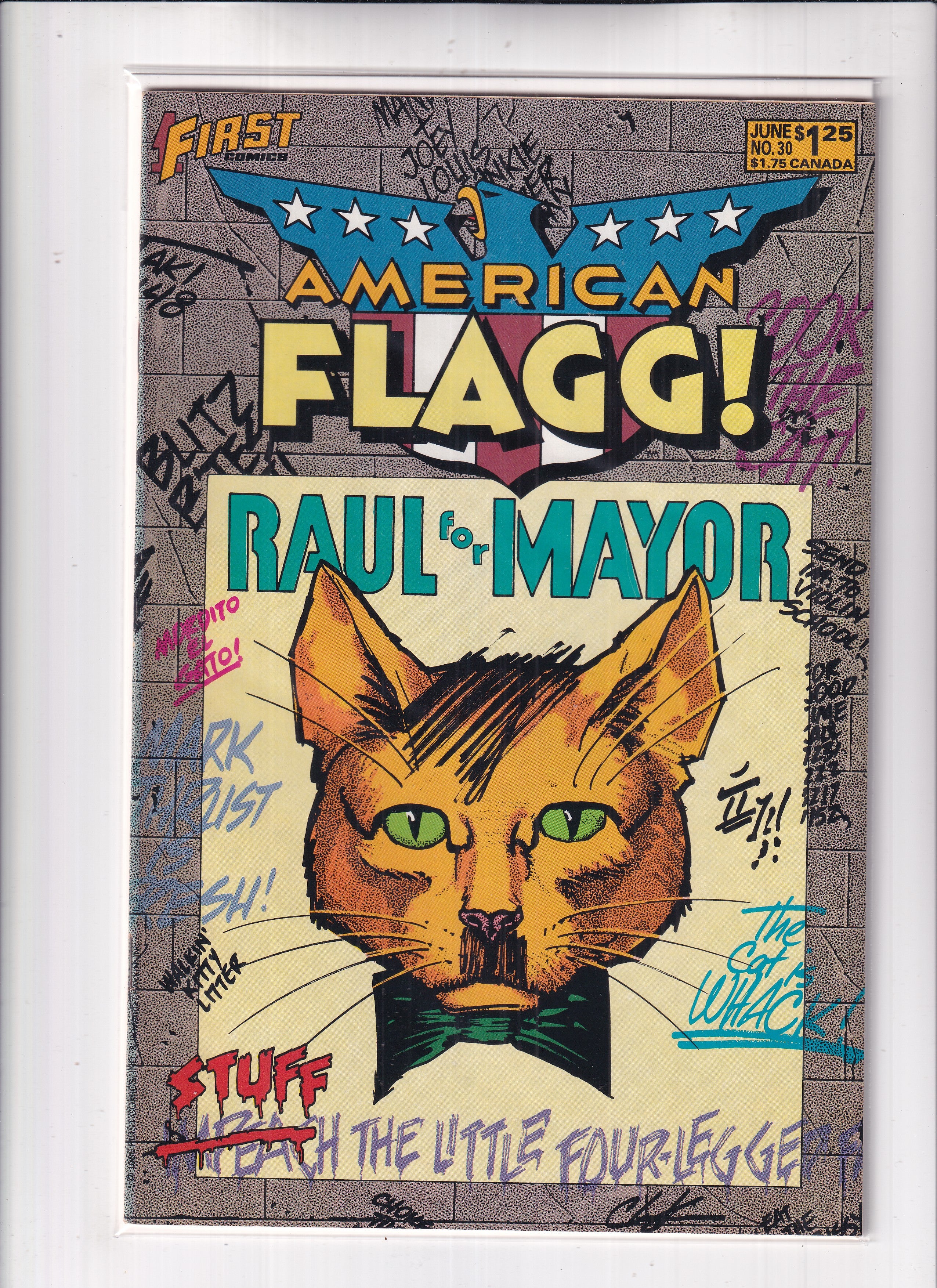 American Flagg #30