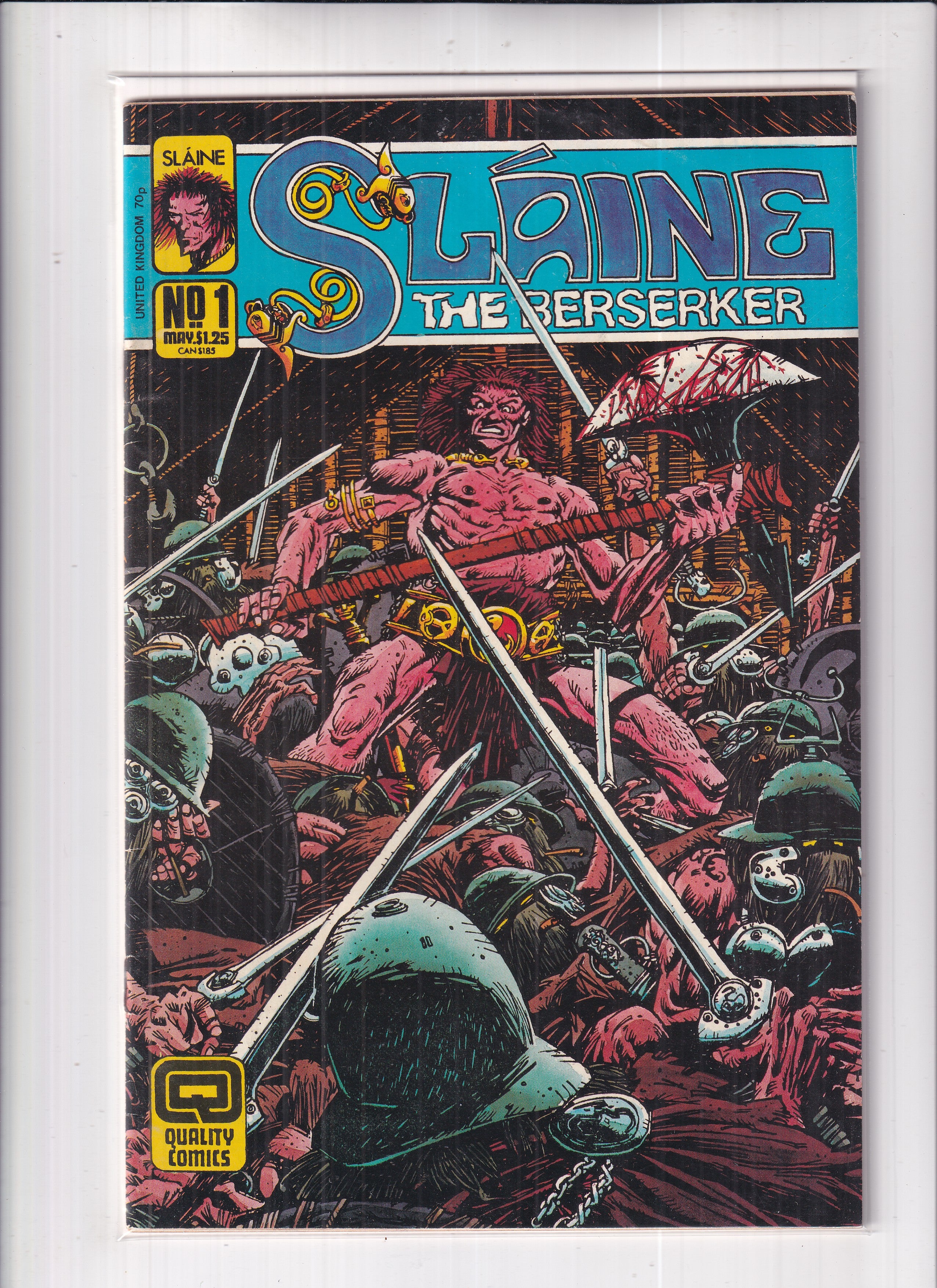 Slaine The Berserker #1
