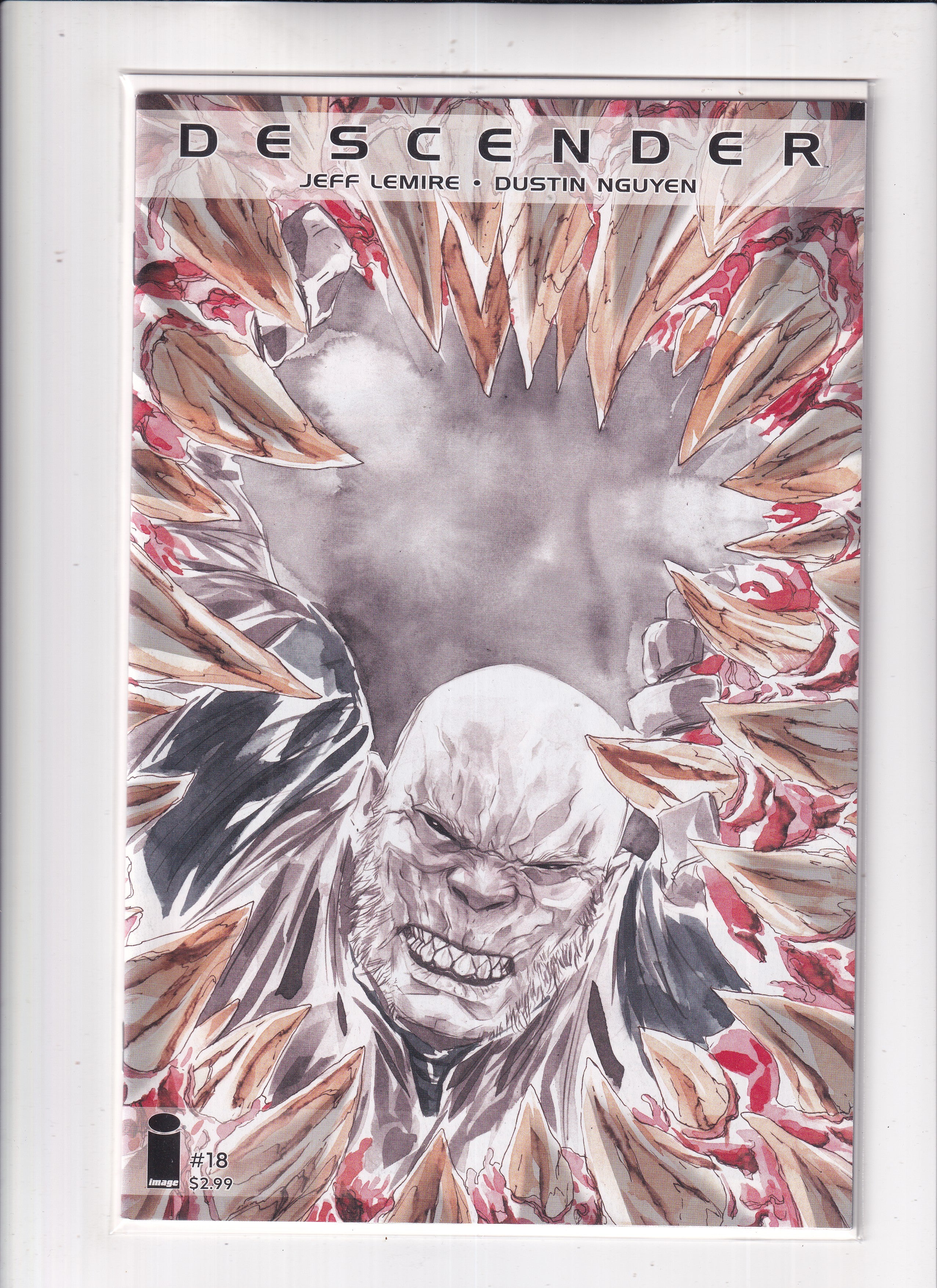 Descender #18