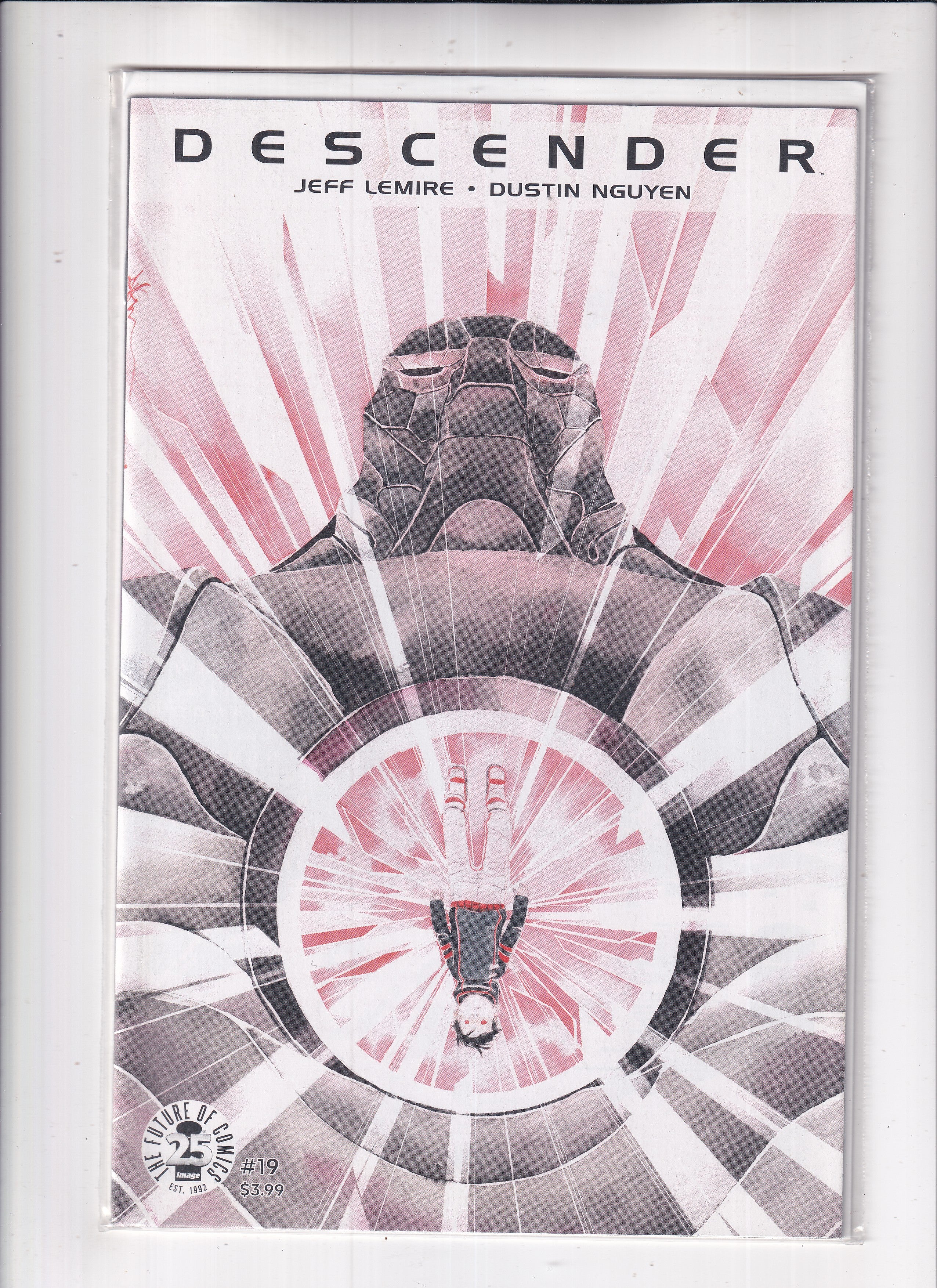 Descender #19