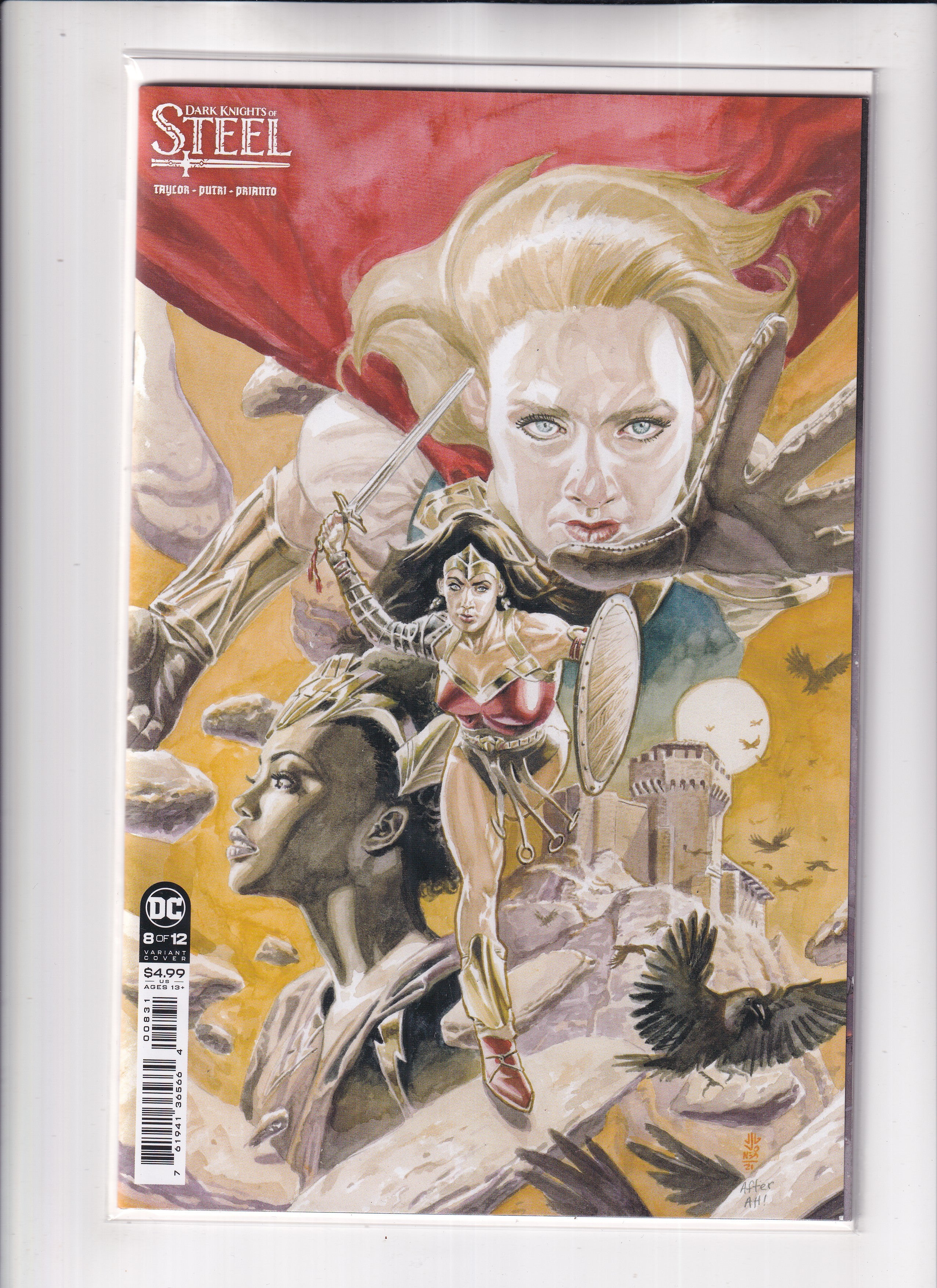 Dark Knights Of Steel #8 Variant