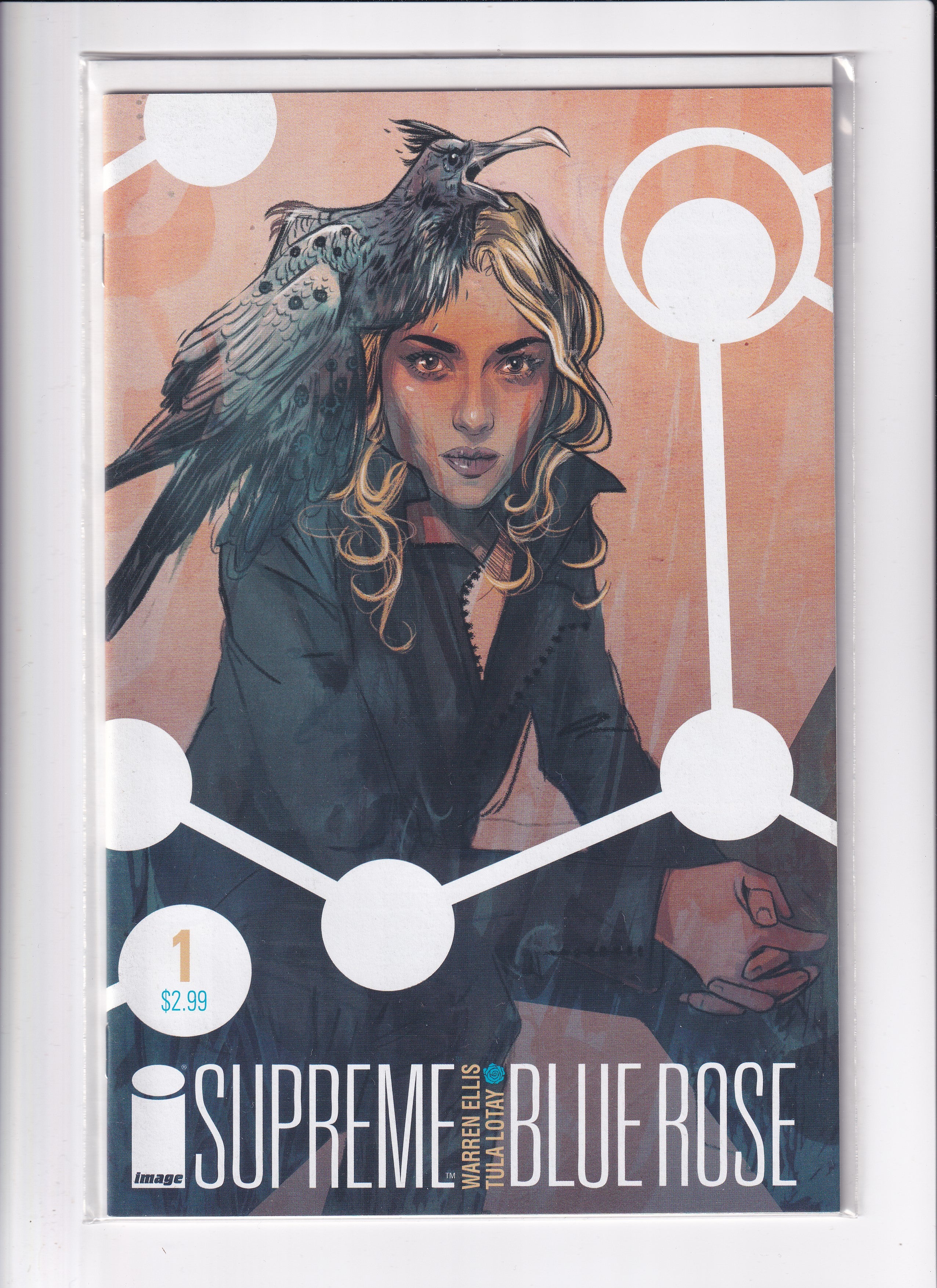 SUPREMEE BLUE ROSE #1 - Slab City Comics