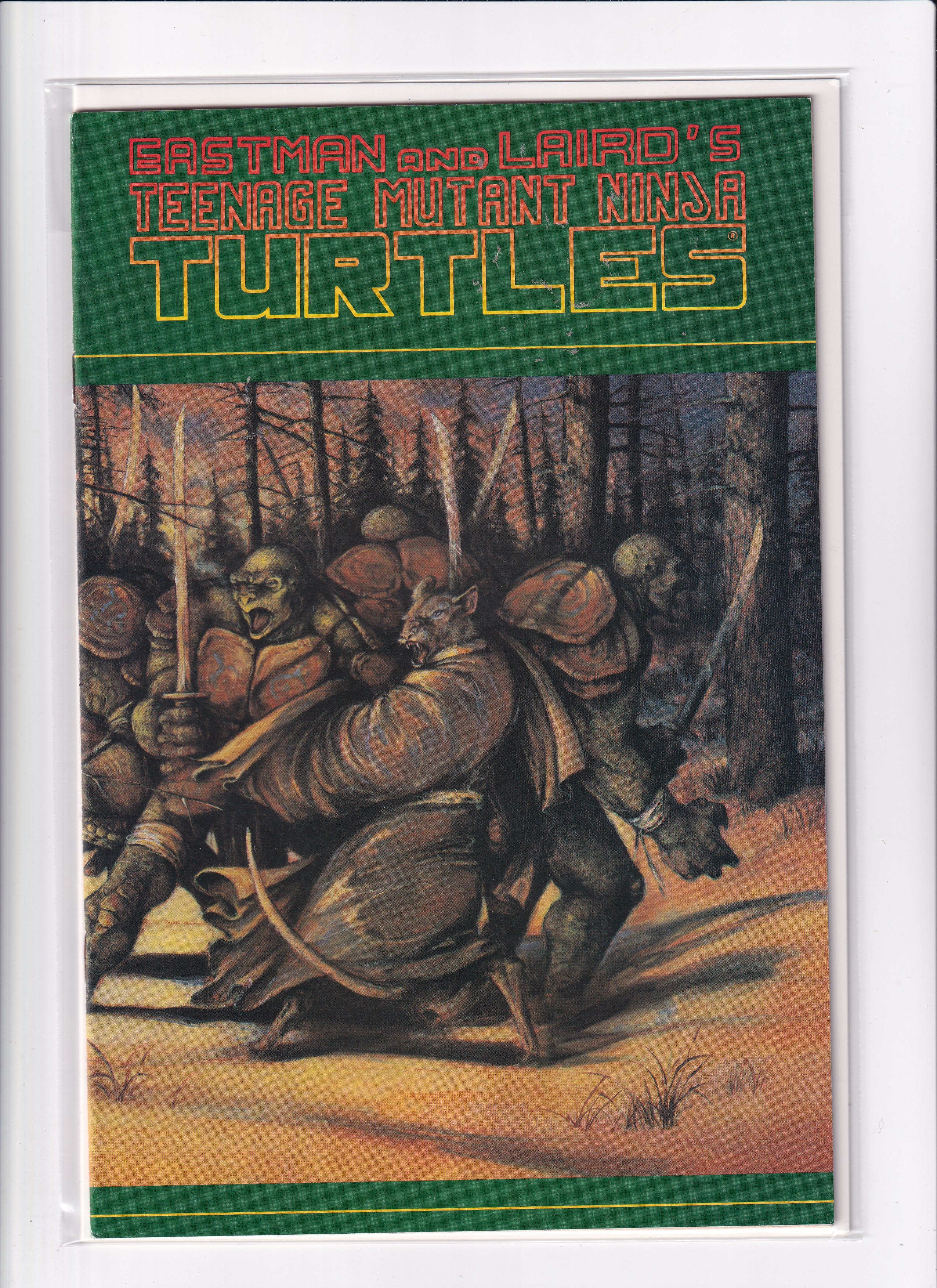 TEENAGE MUTANT NINJA TURTLES #31 - Slab City Comics