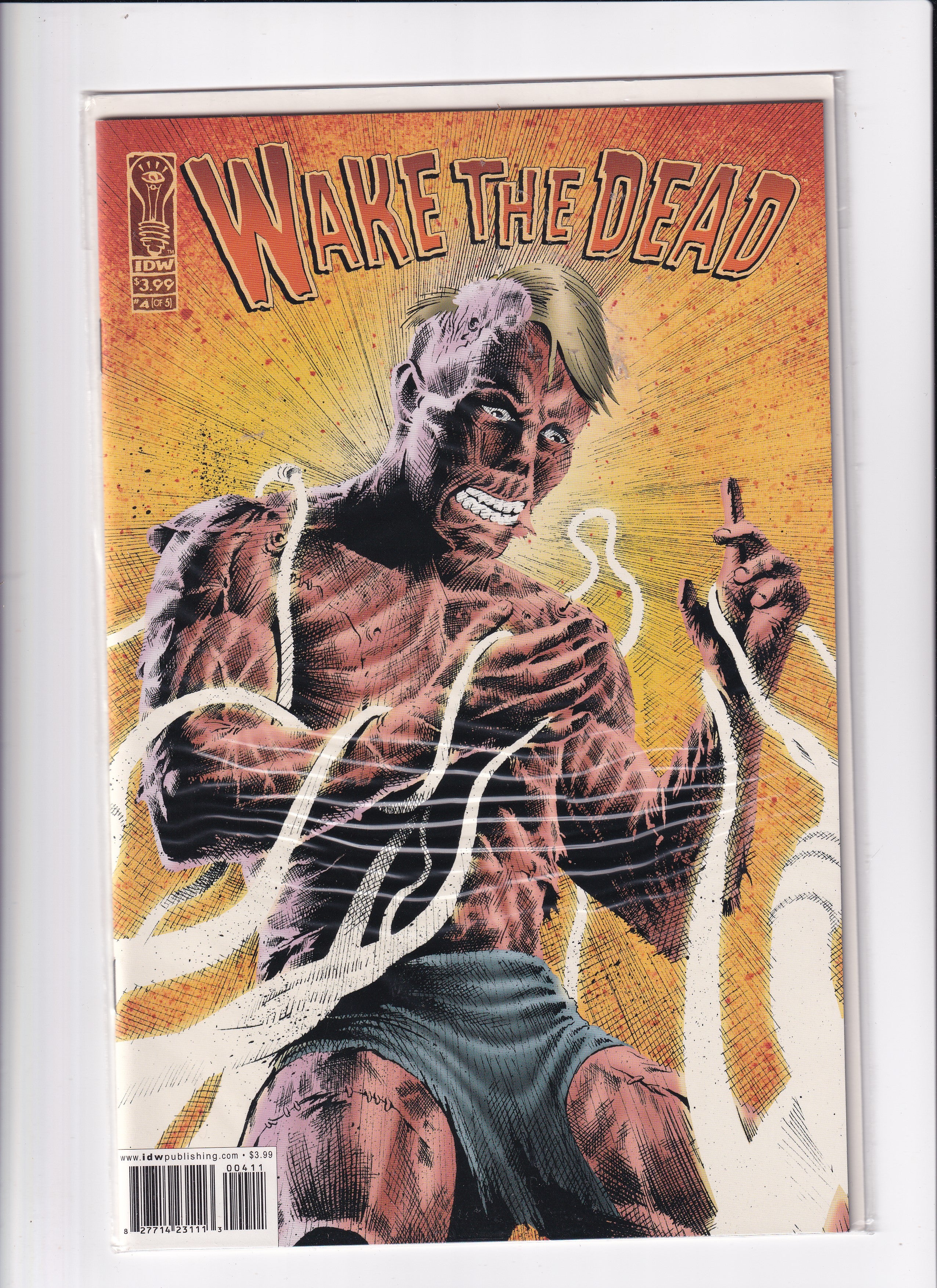 WAKE THE DEAD #4 - Slab City Comics