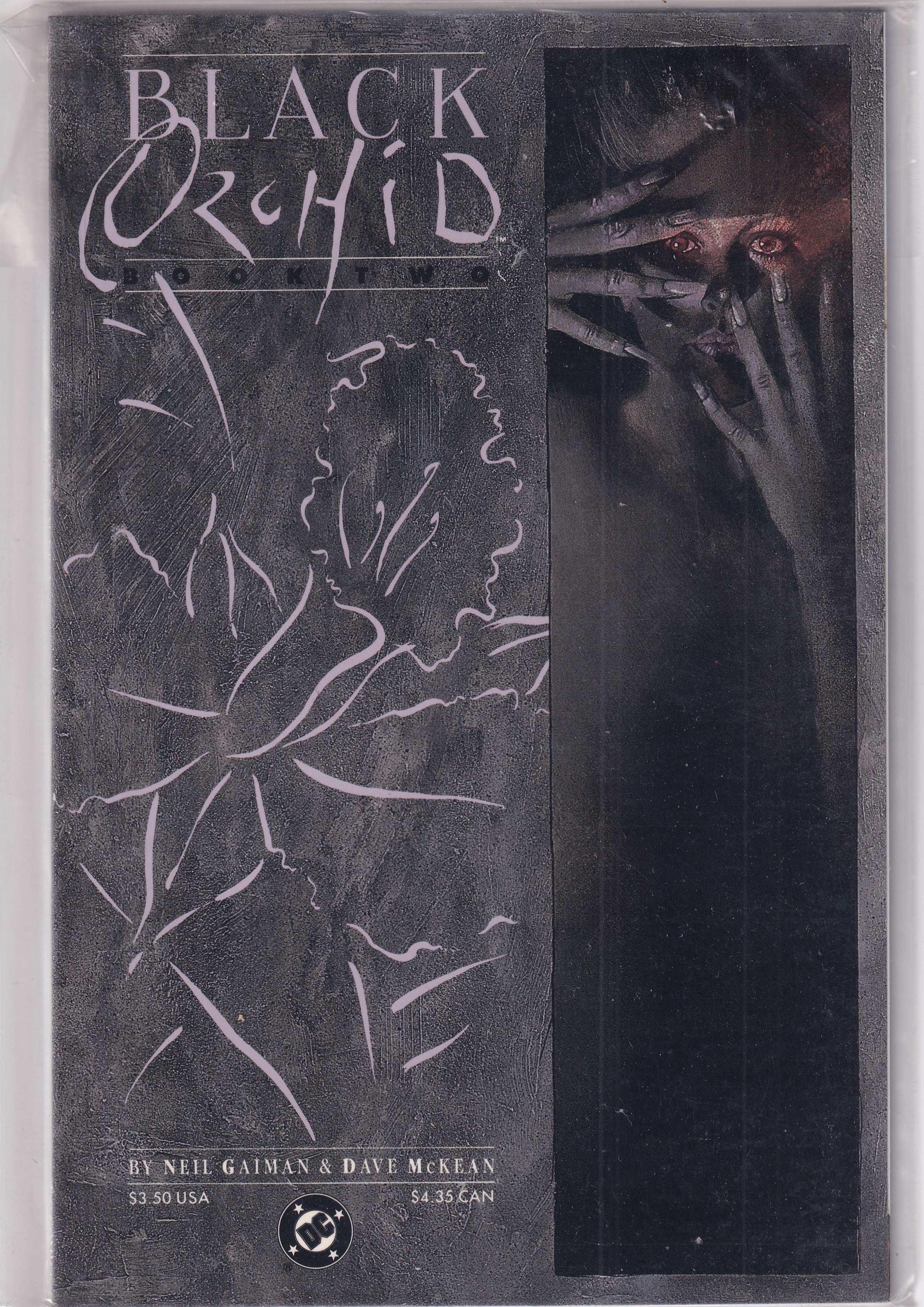 BLACK ORCHID #2 - Slab City Comics