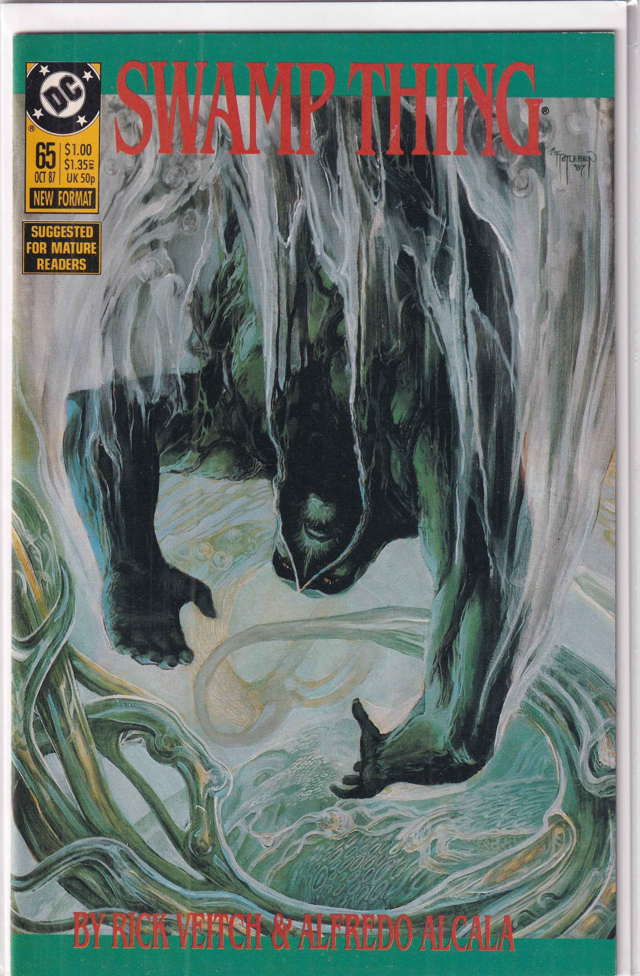 SWAMP THING #65 - Slab City Comics