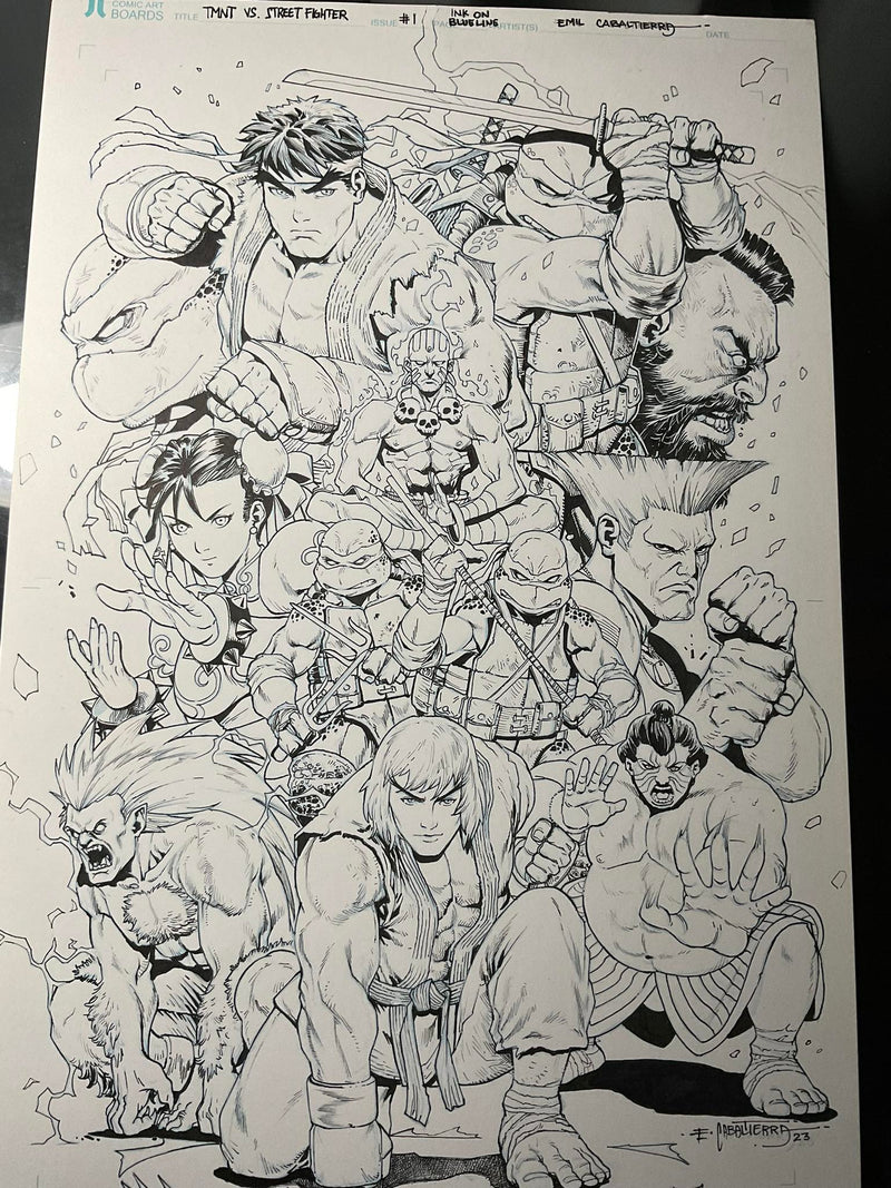 TMNT vs Street Fighter