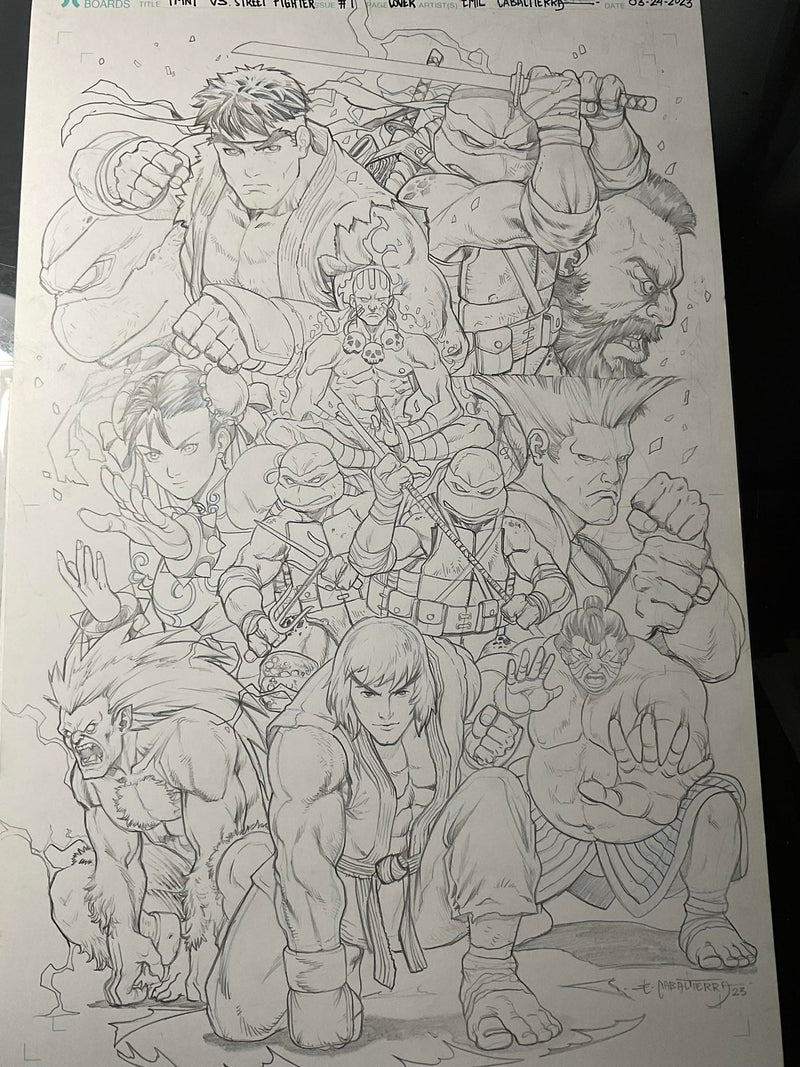 TMNT vs Street Fighter