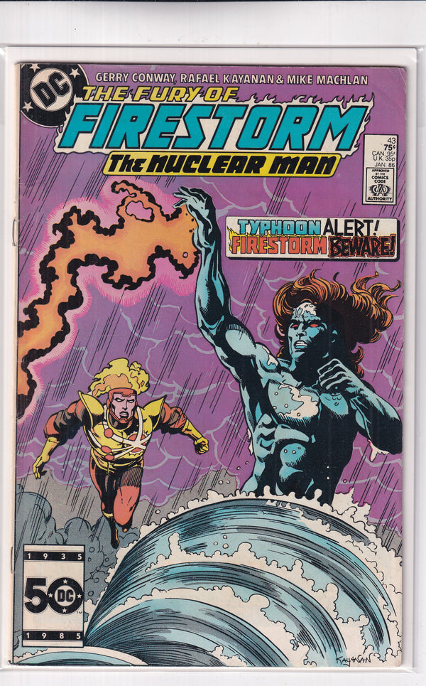 FURY OF FIRESTORM NUCLEAR MAN #43 - Slab City Comics 