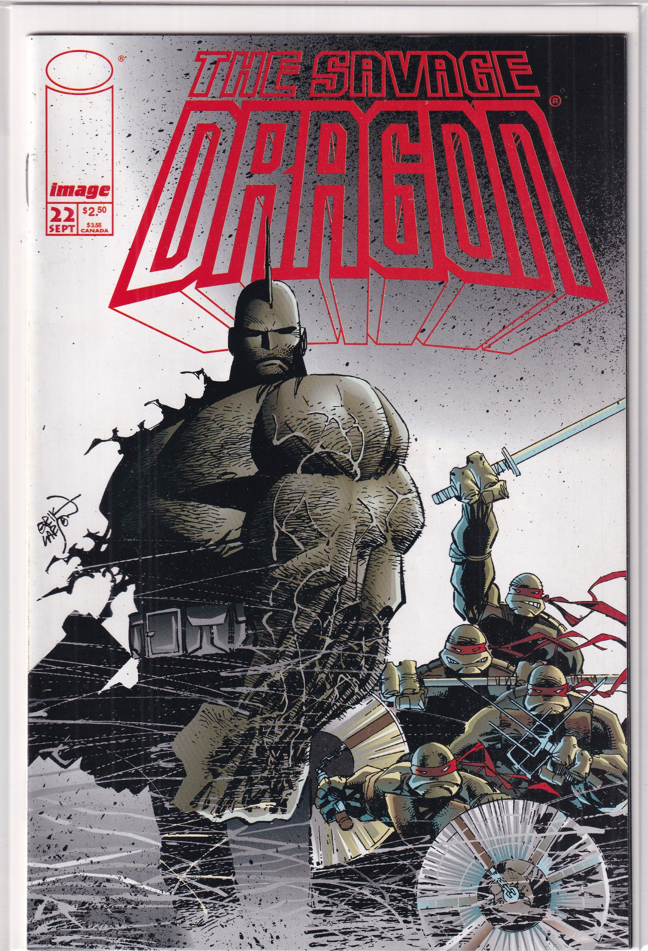 SAVAGE DRAGON #22 - Slab City Comics 