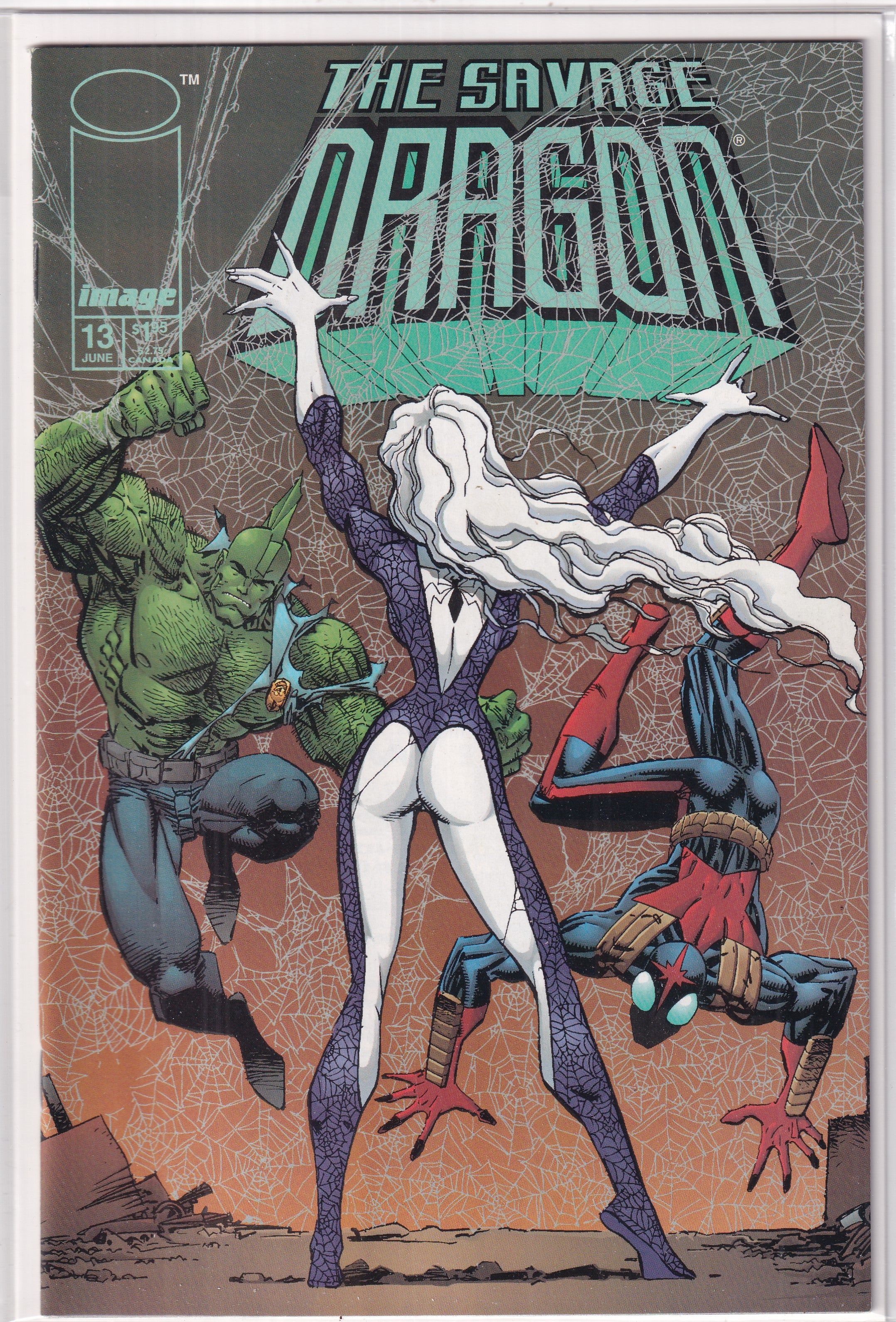 SAVAGE DRAGON #13 - Slab City Comics 