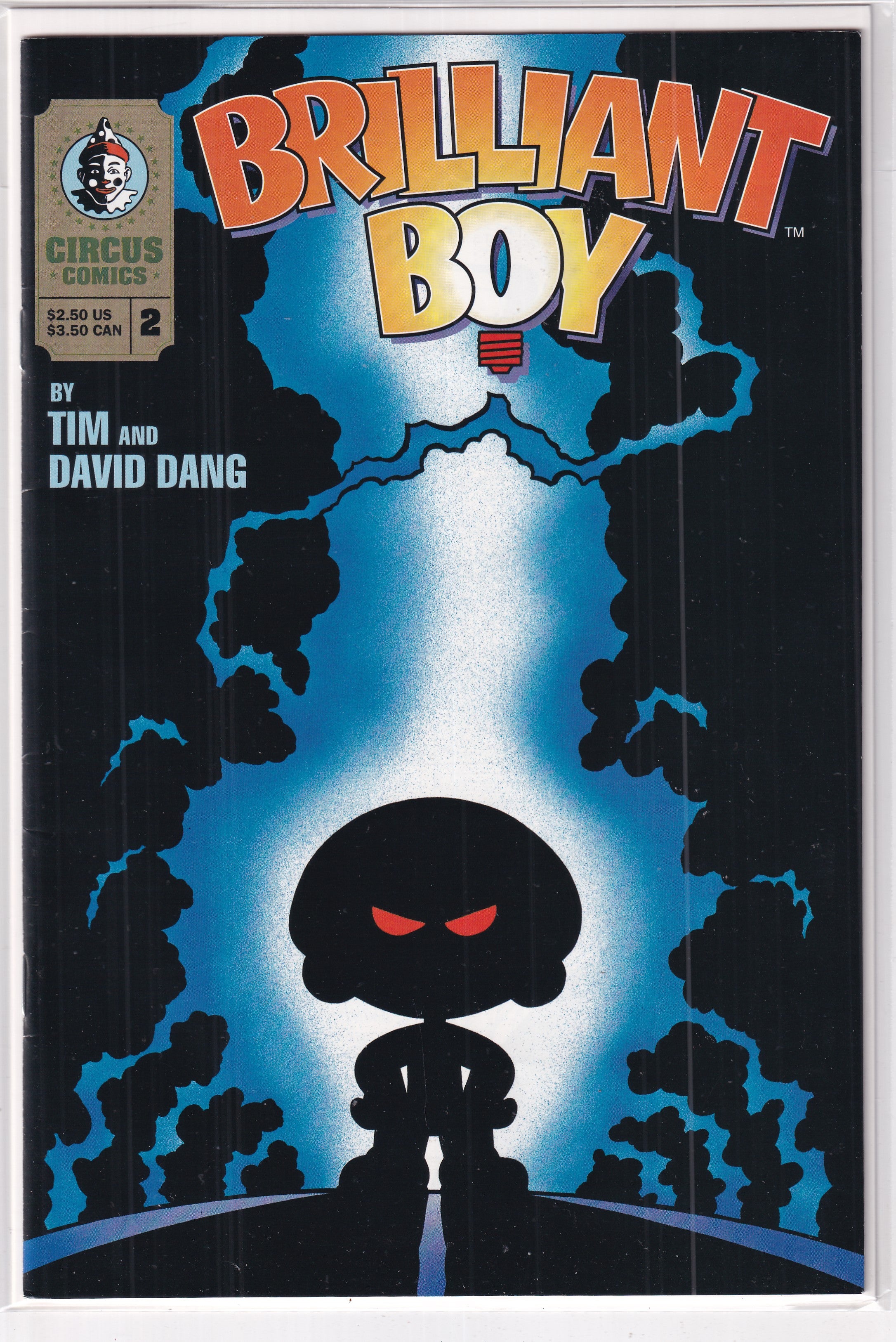 Brilliant Boy #2