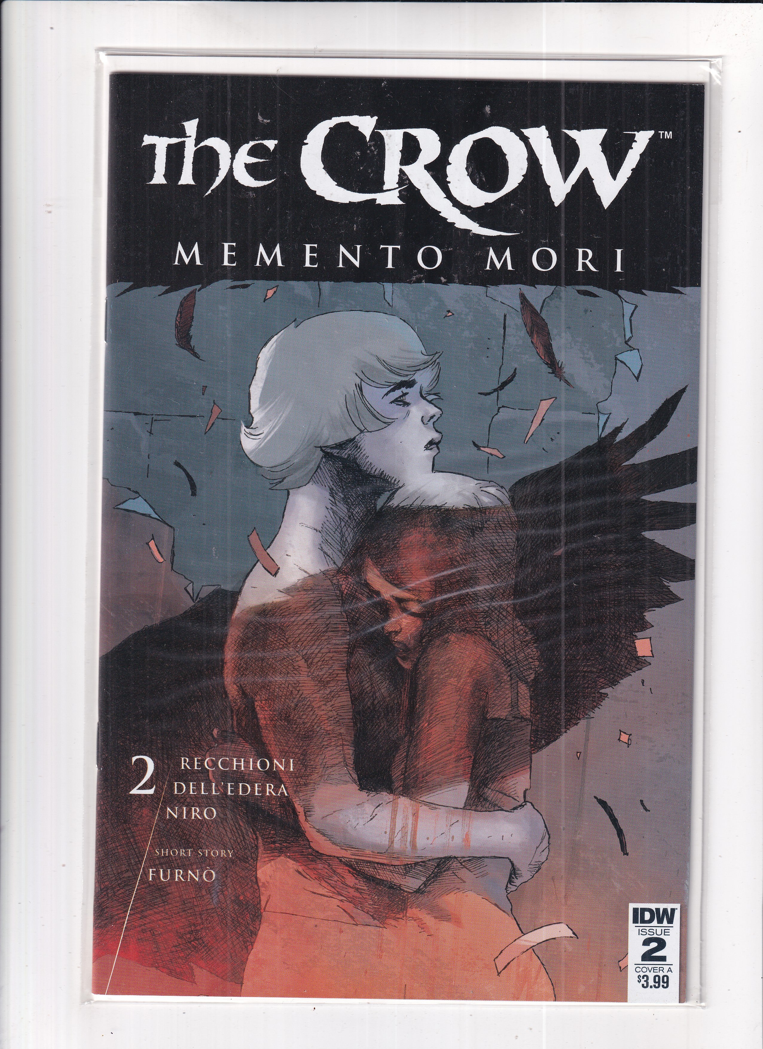 Crow Memento Mori #2