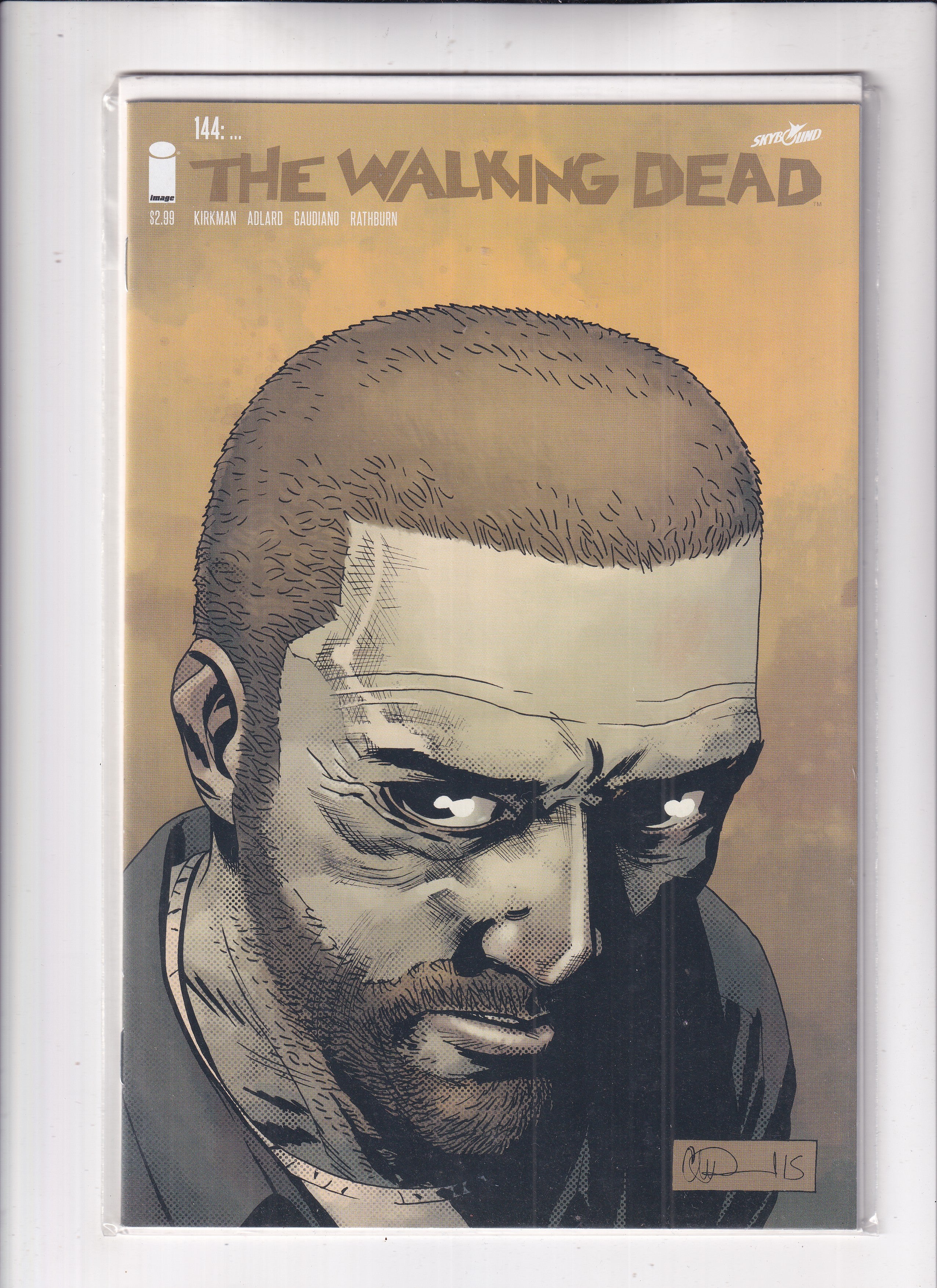 Walking Dead #144