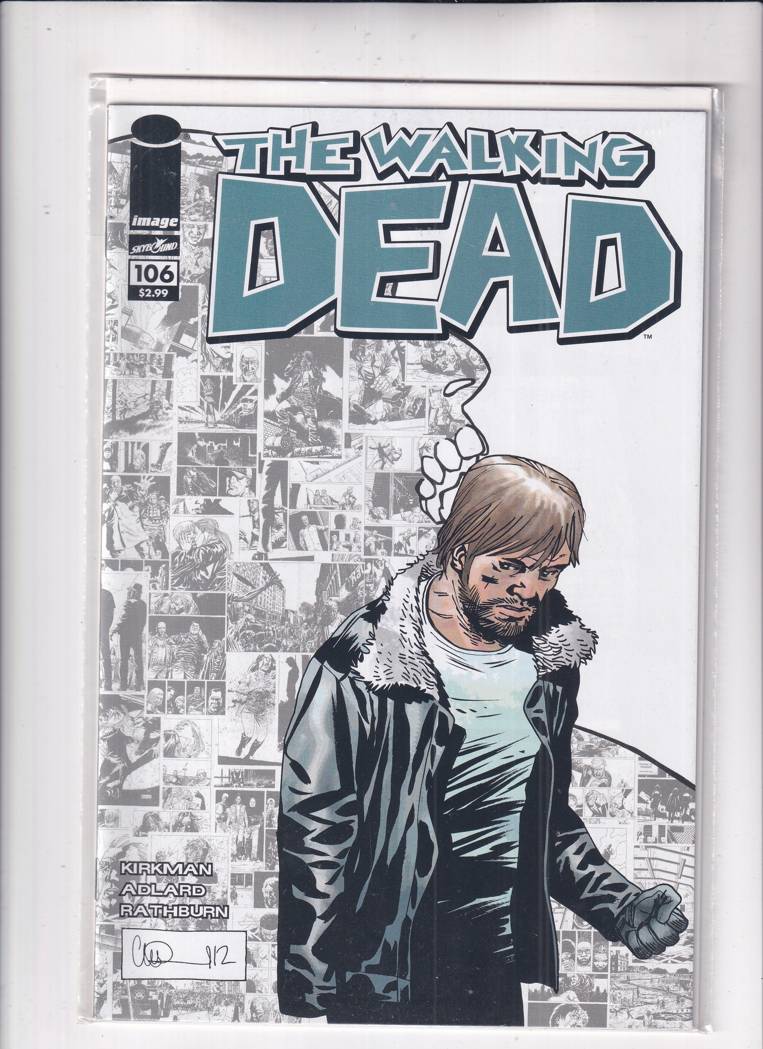 Walking Dead #106