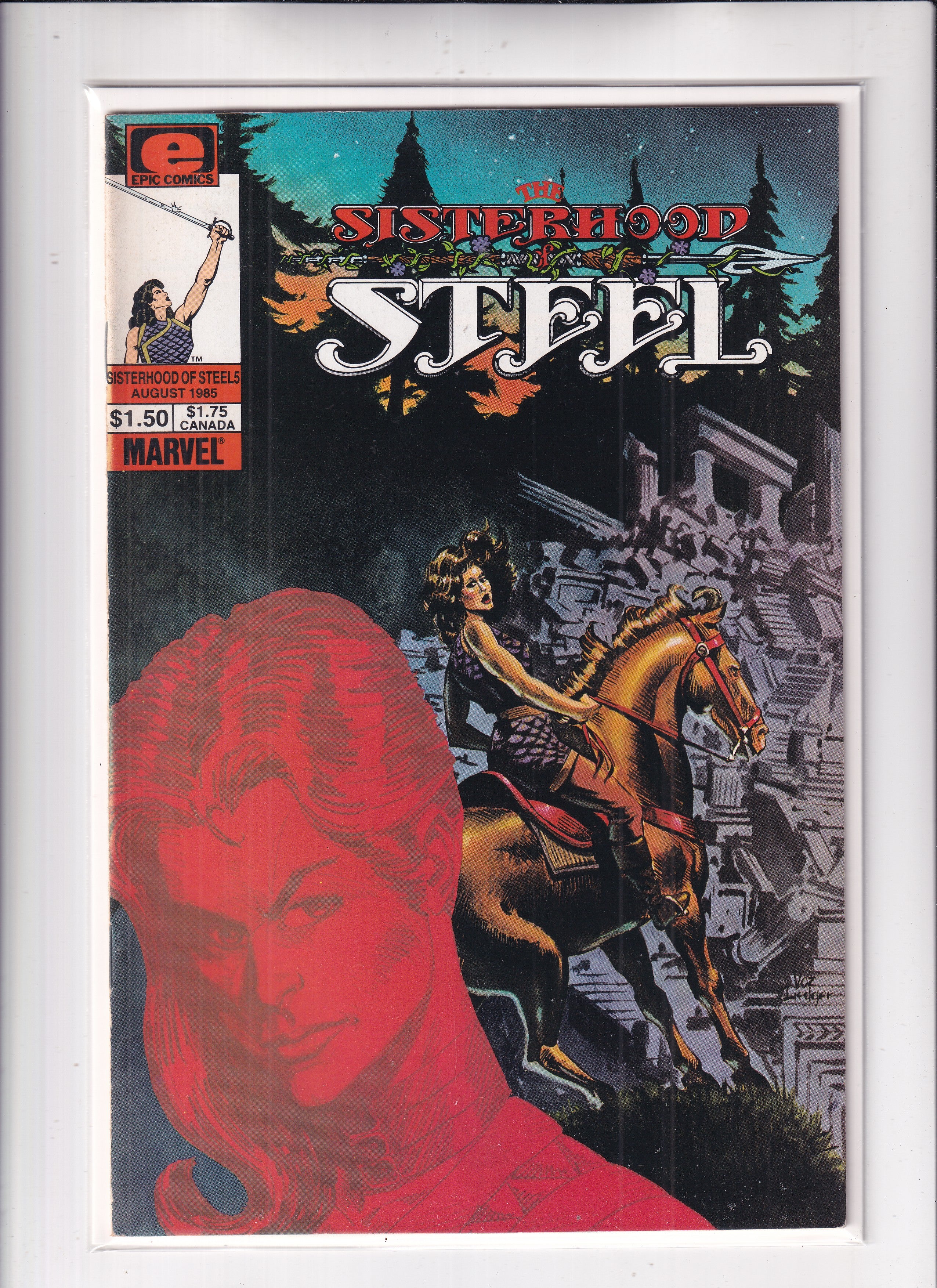 Sisterhood of Steel #5