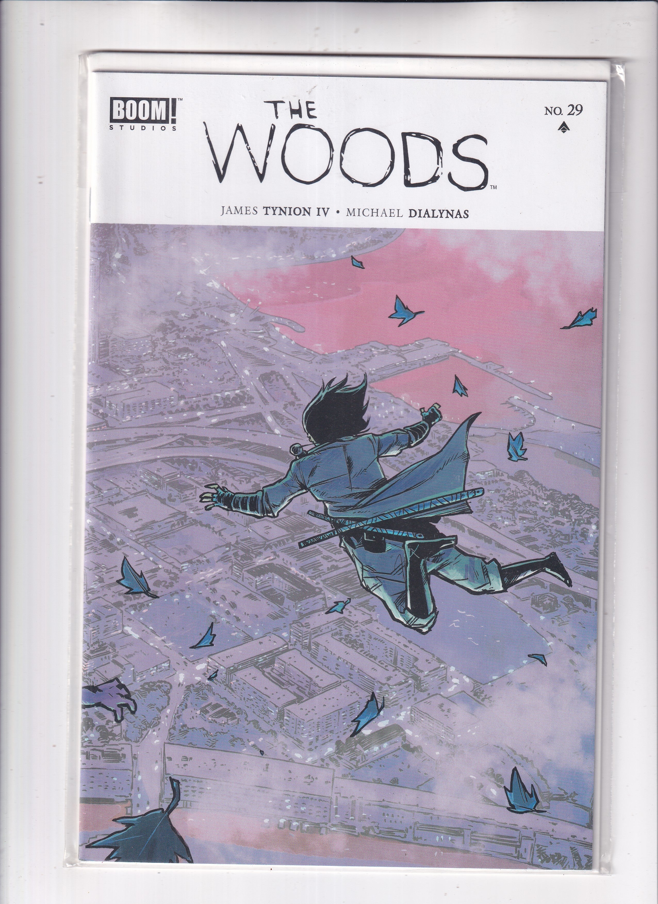 Woods #29