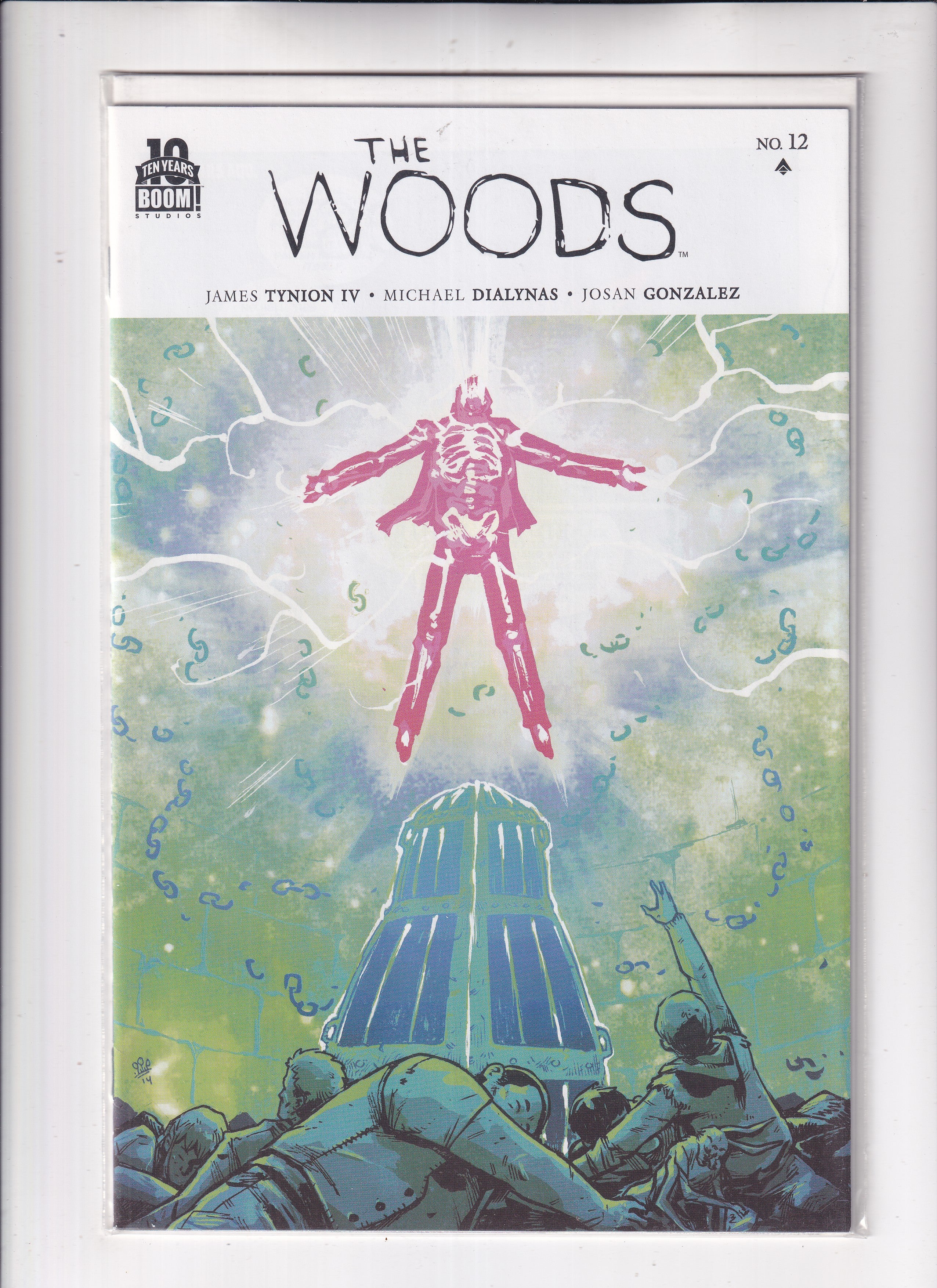 Woods #12
