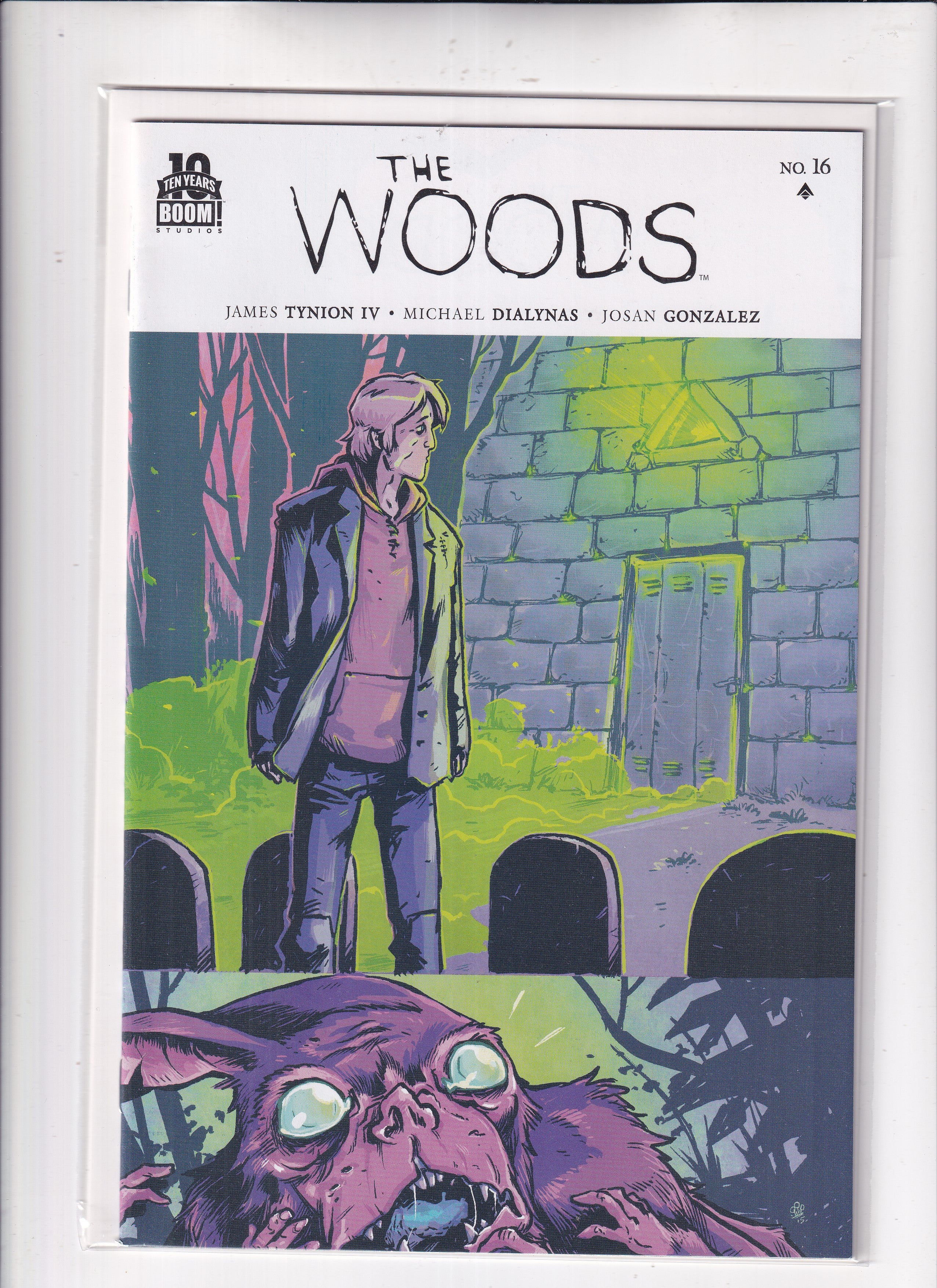 Woods #16
