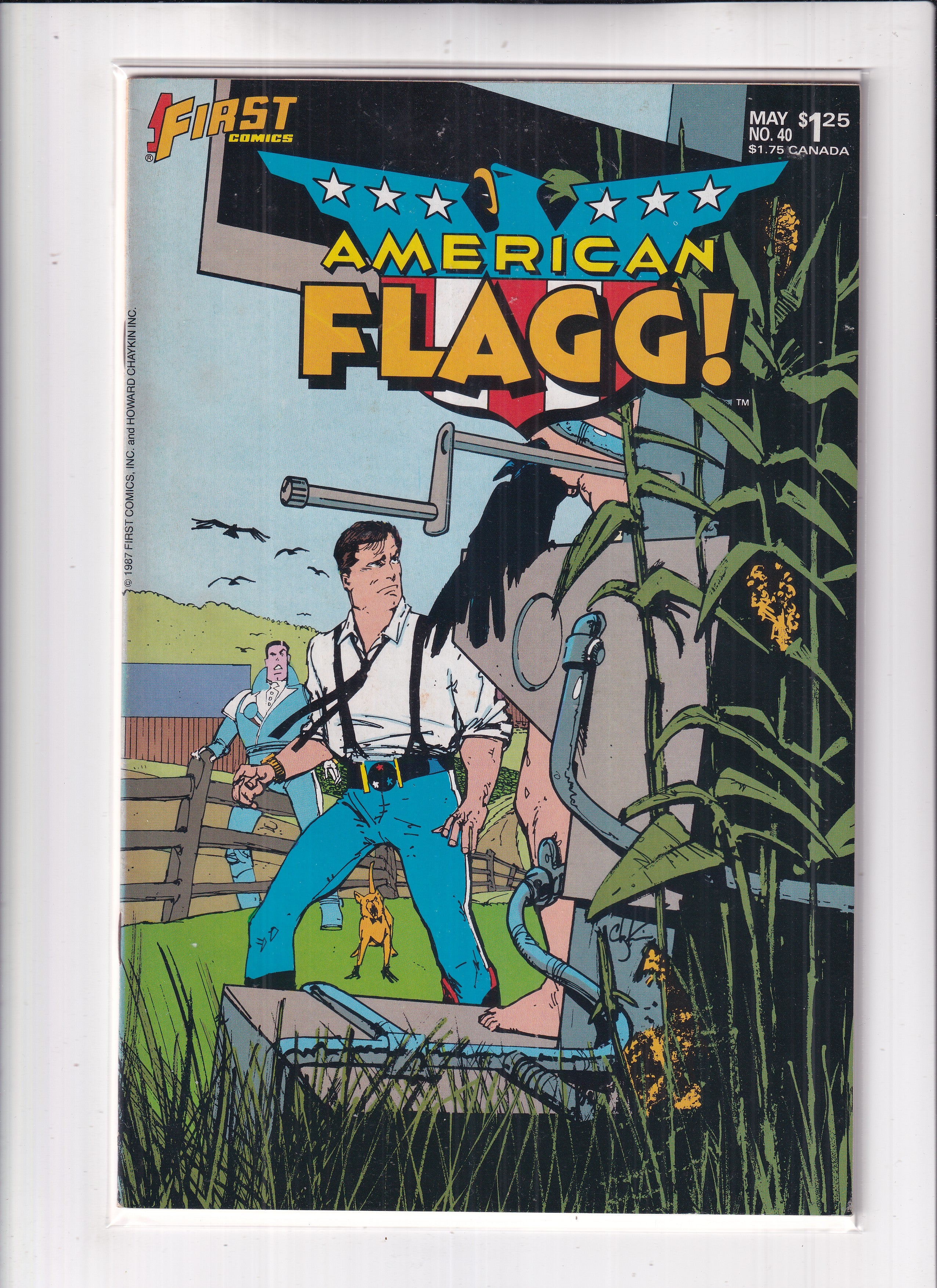 American Flagg #40