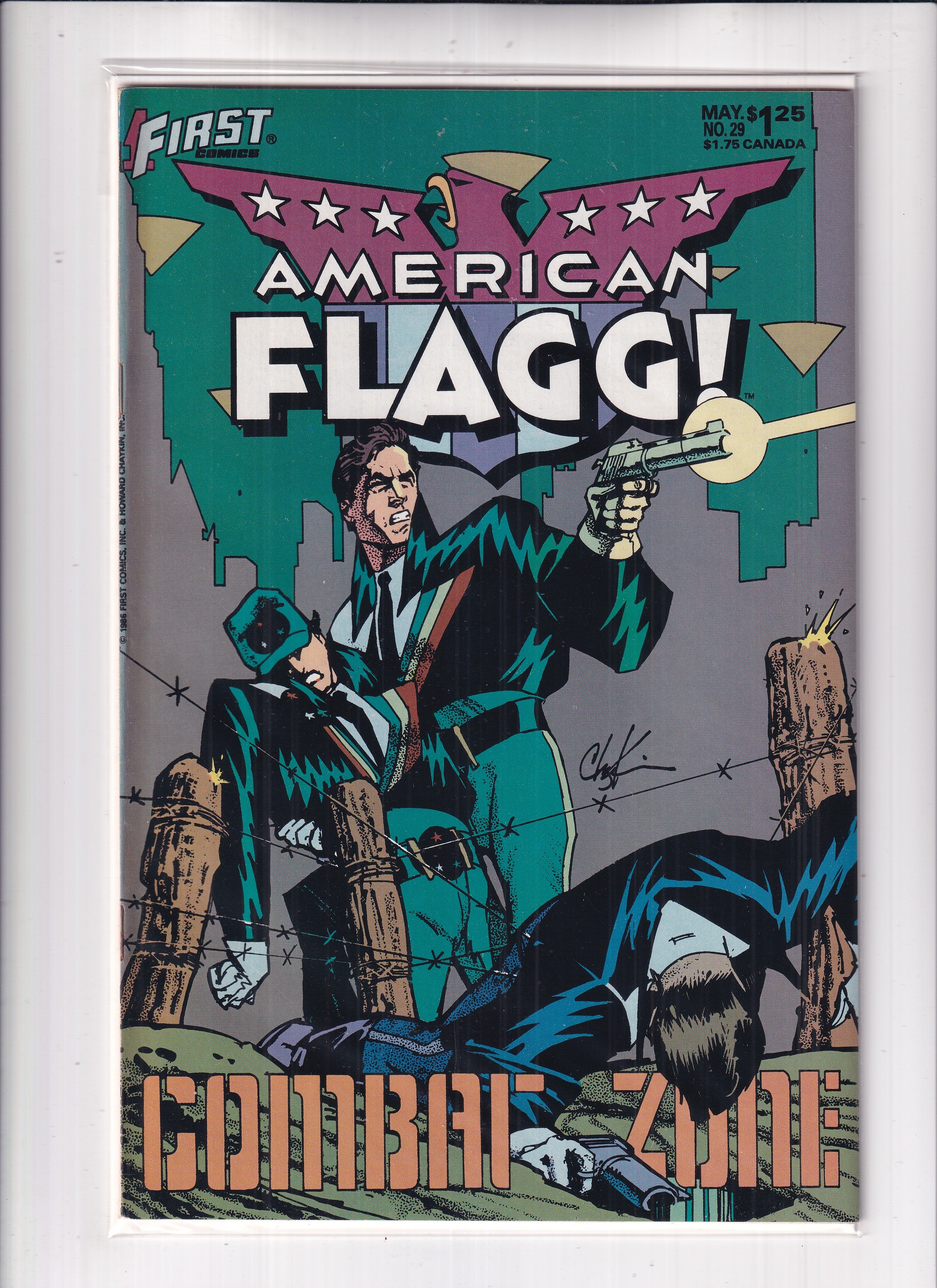 American Flagg #29