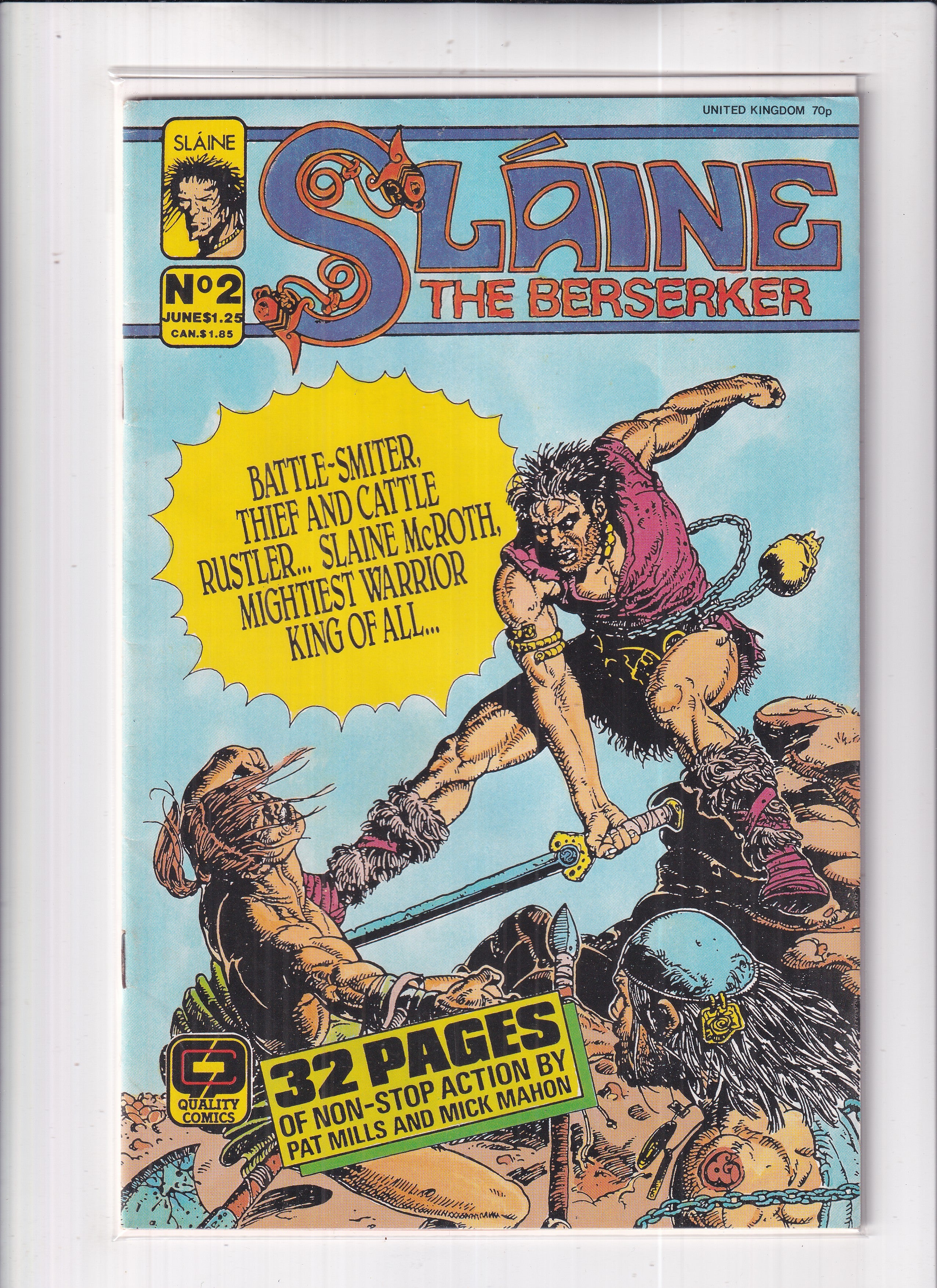 Slaine The Berserker #2