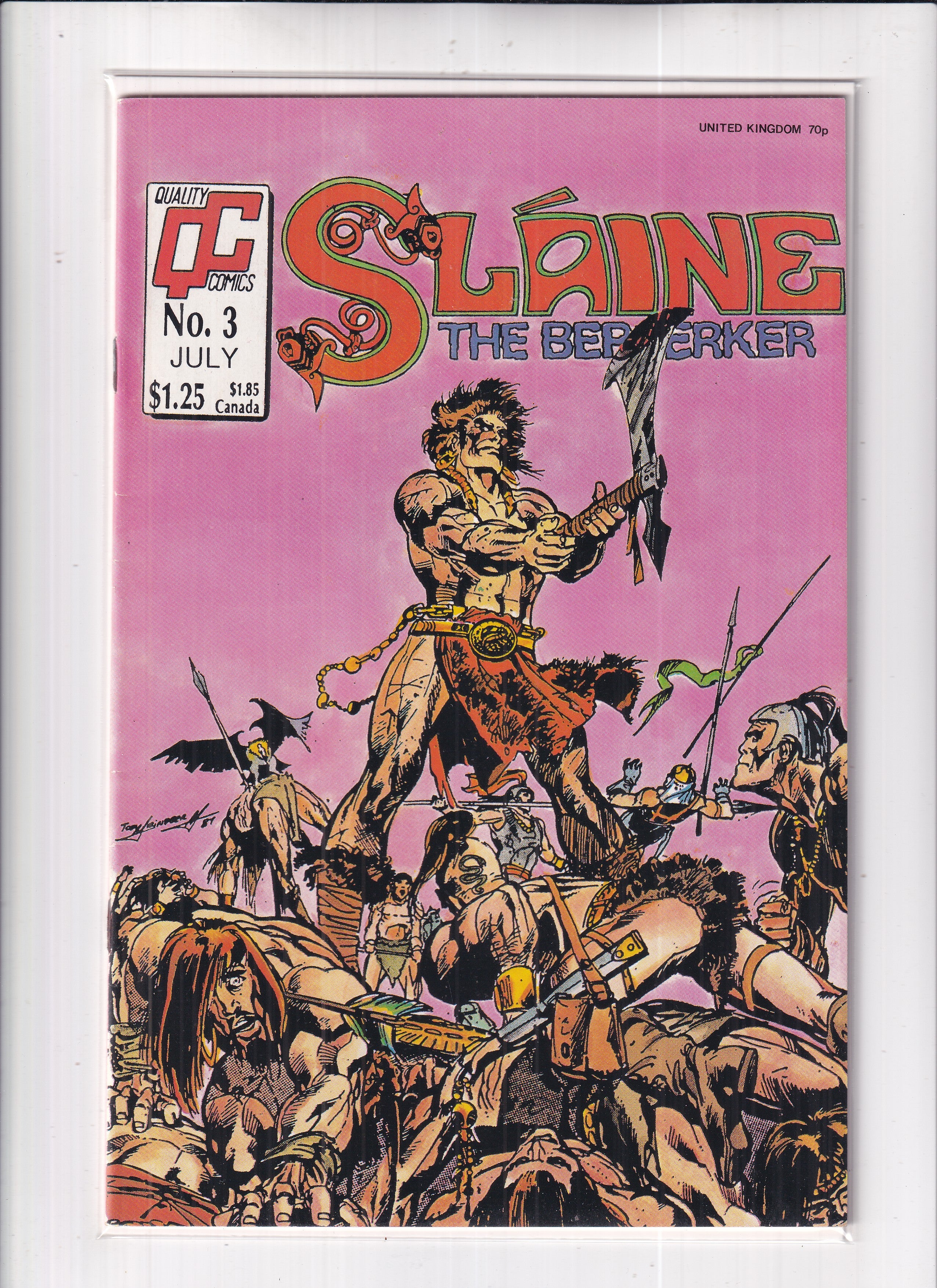 Slaine The Berserker #3