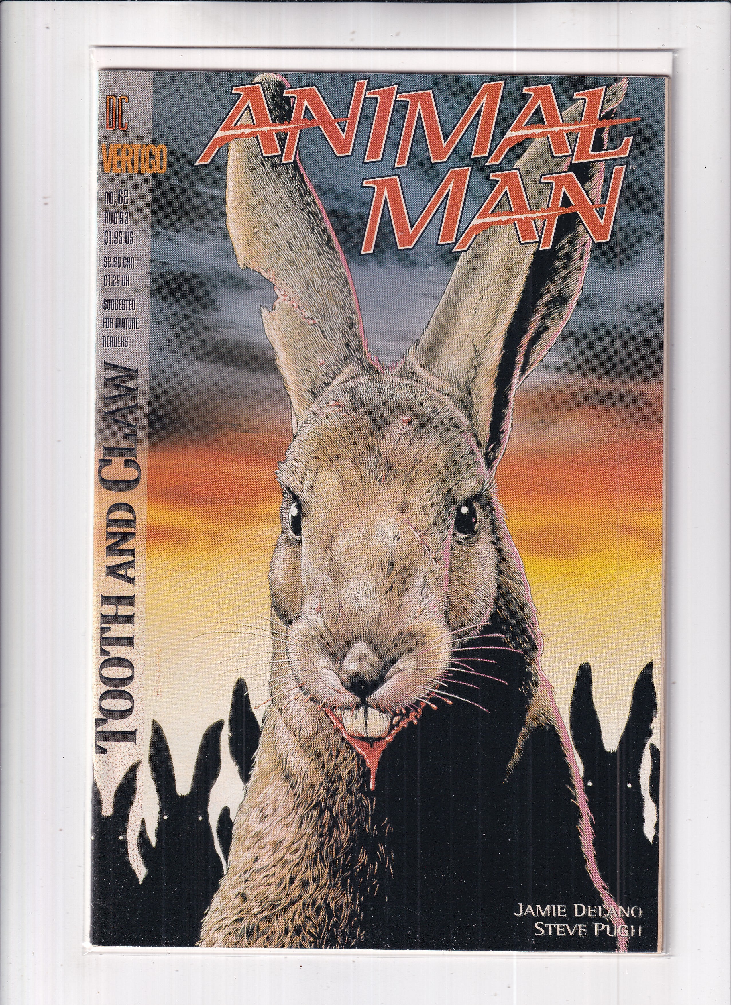 Animal Man #62
