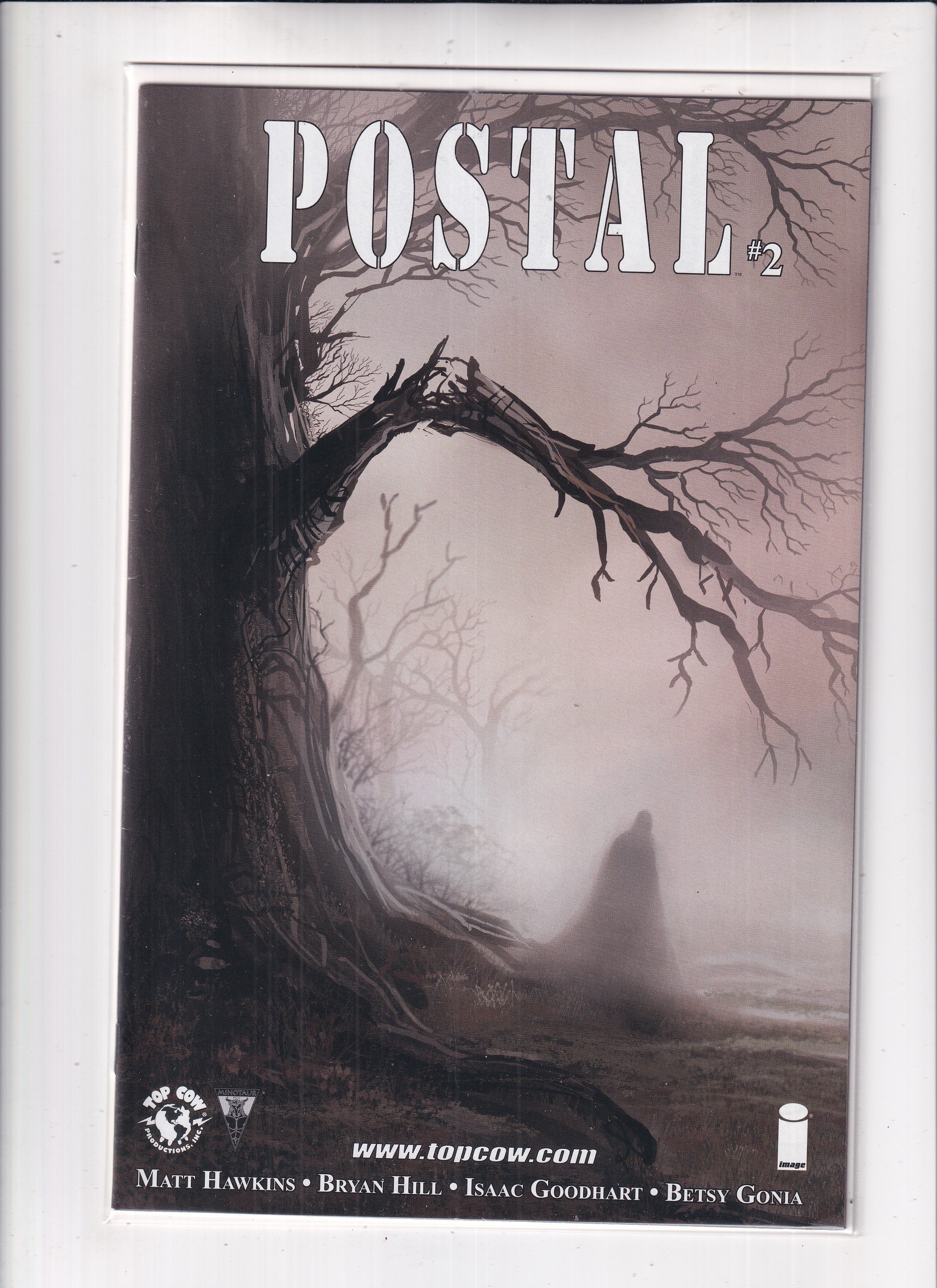 Postal #2