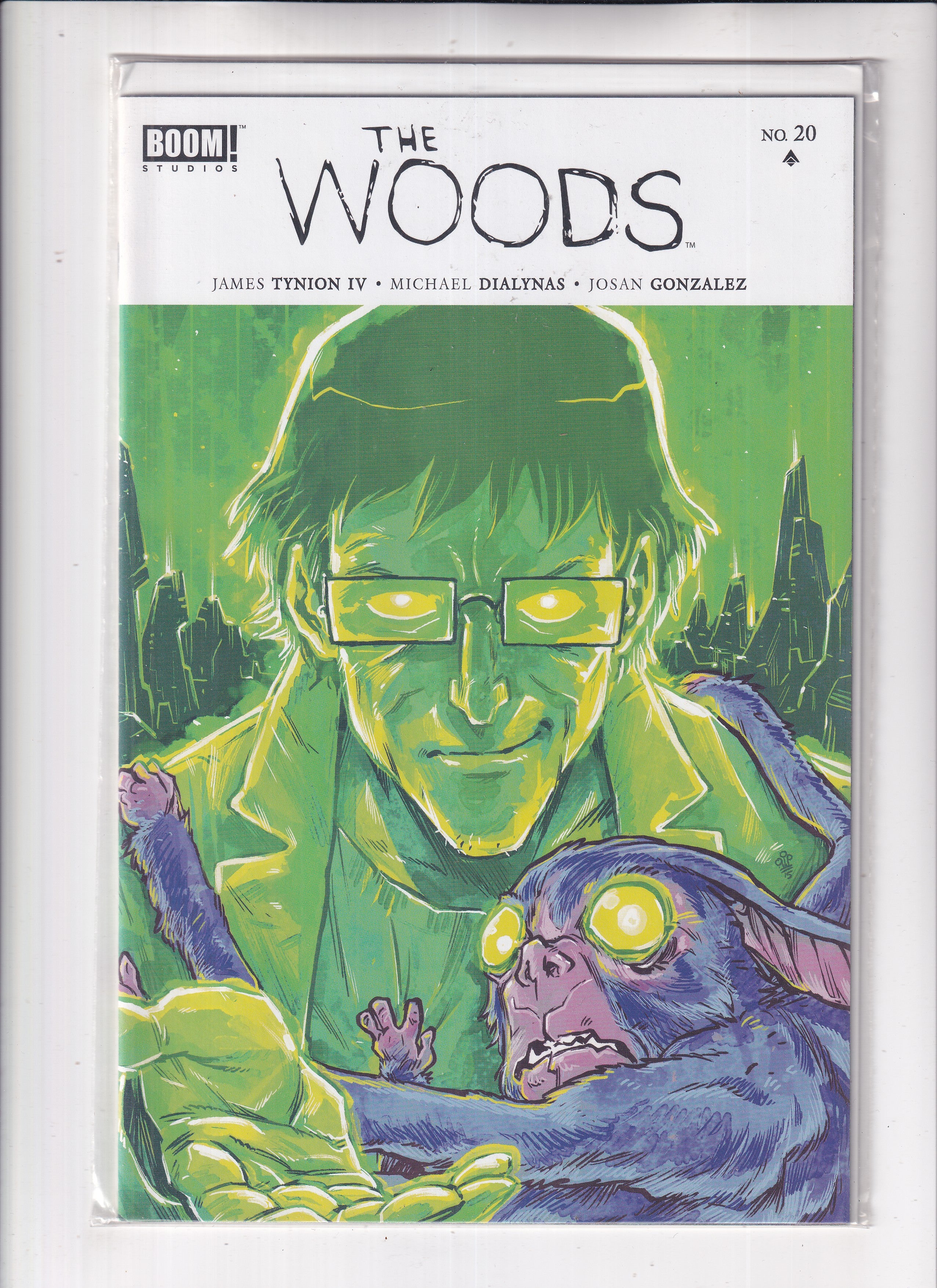 Woods #20