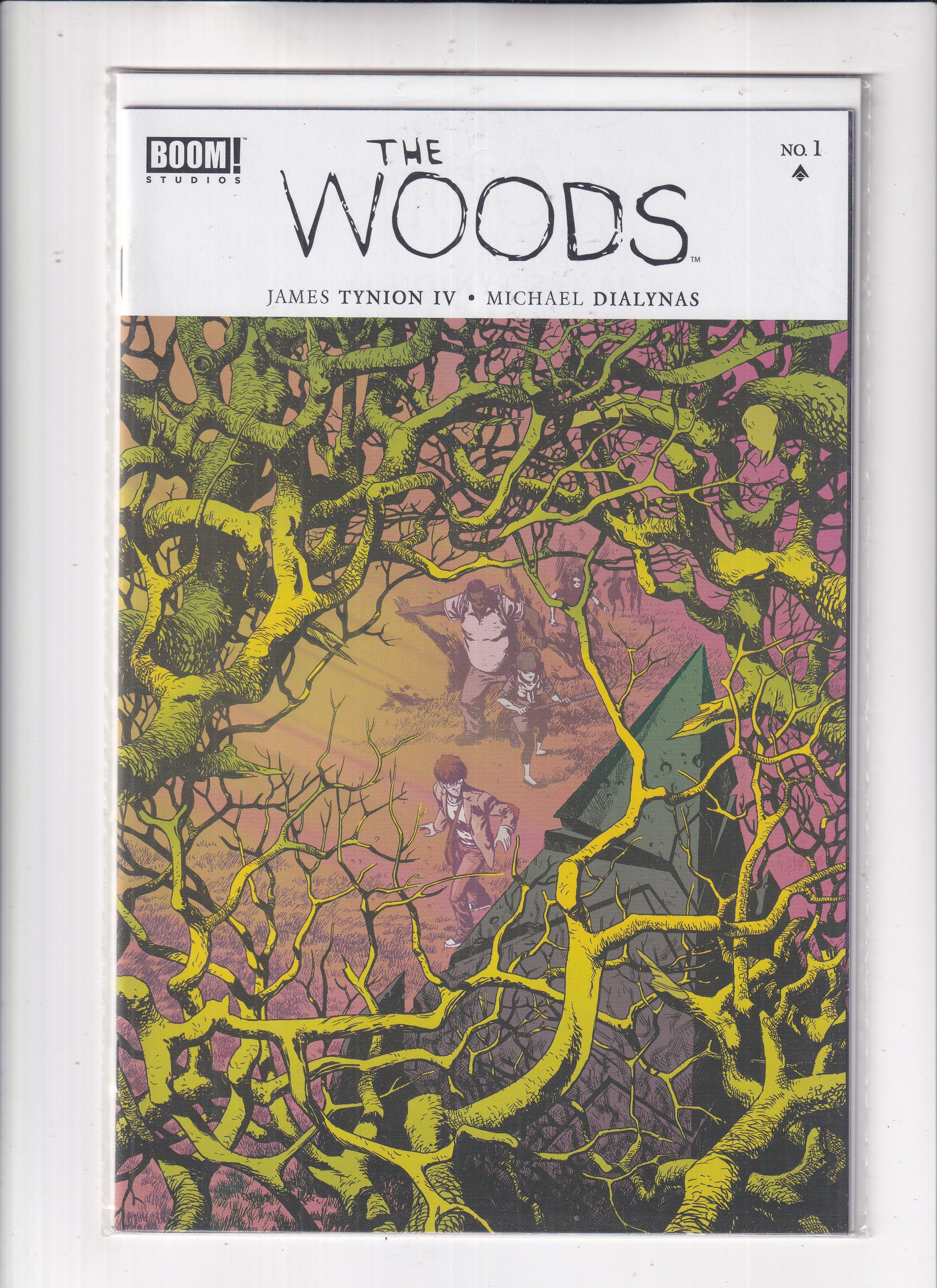 Woods #1