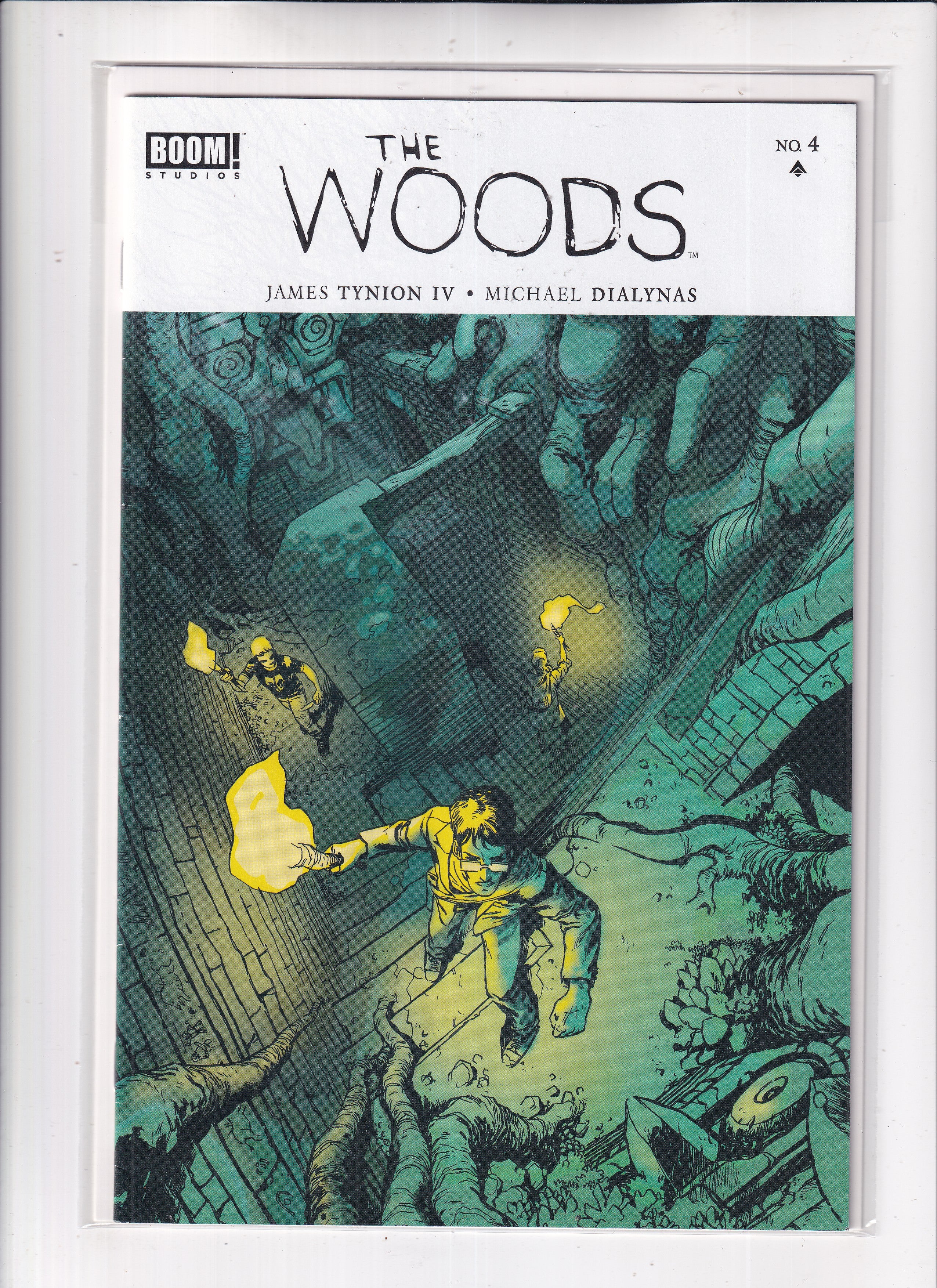 Woods #4