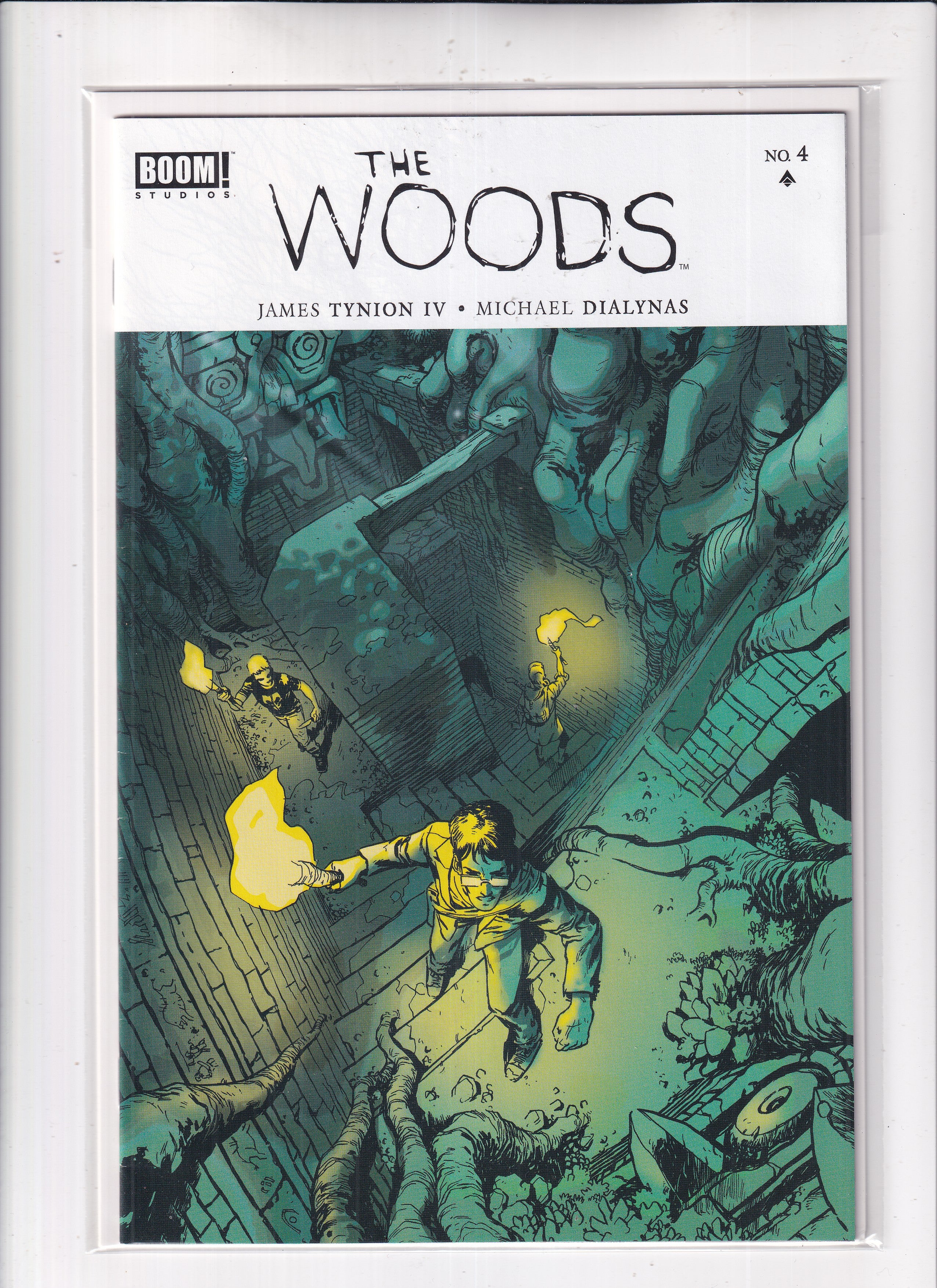 Woods #4