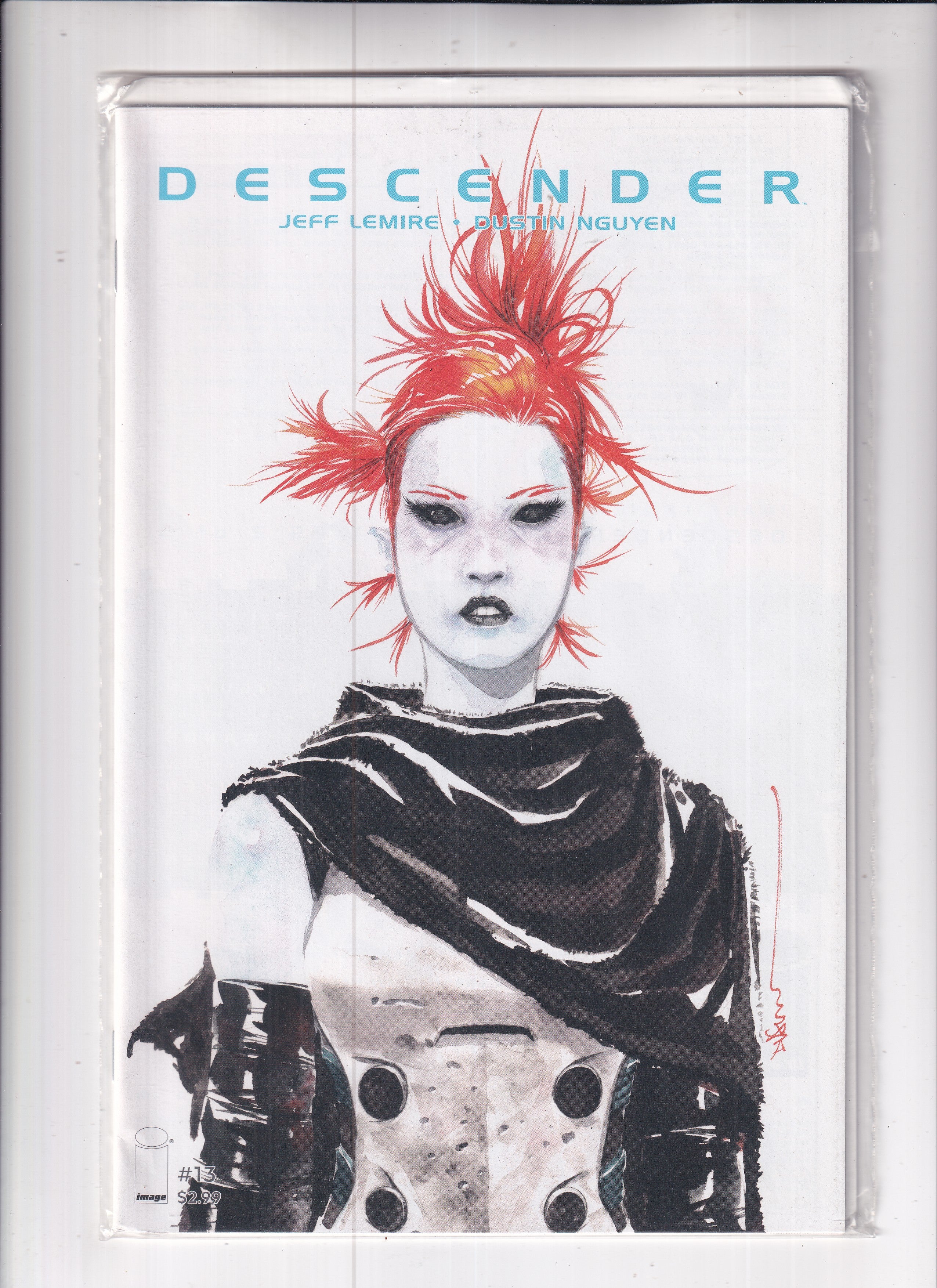 Descender #13