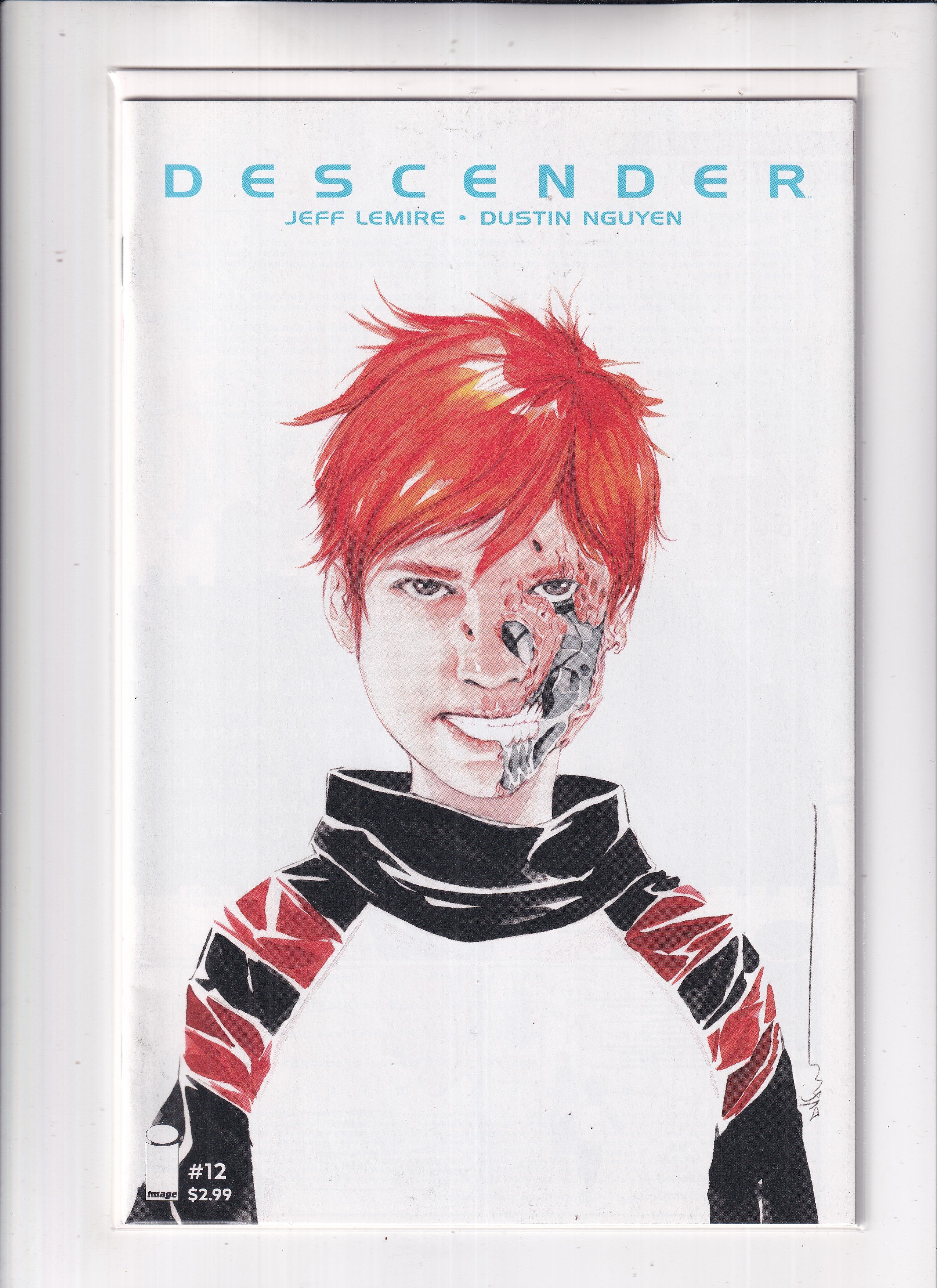 Descender #12