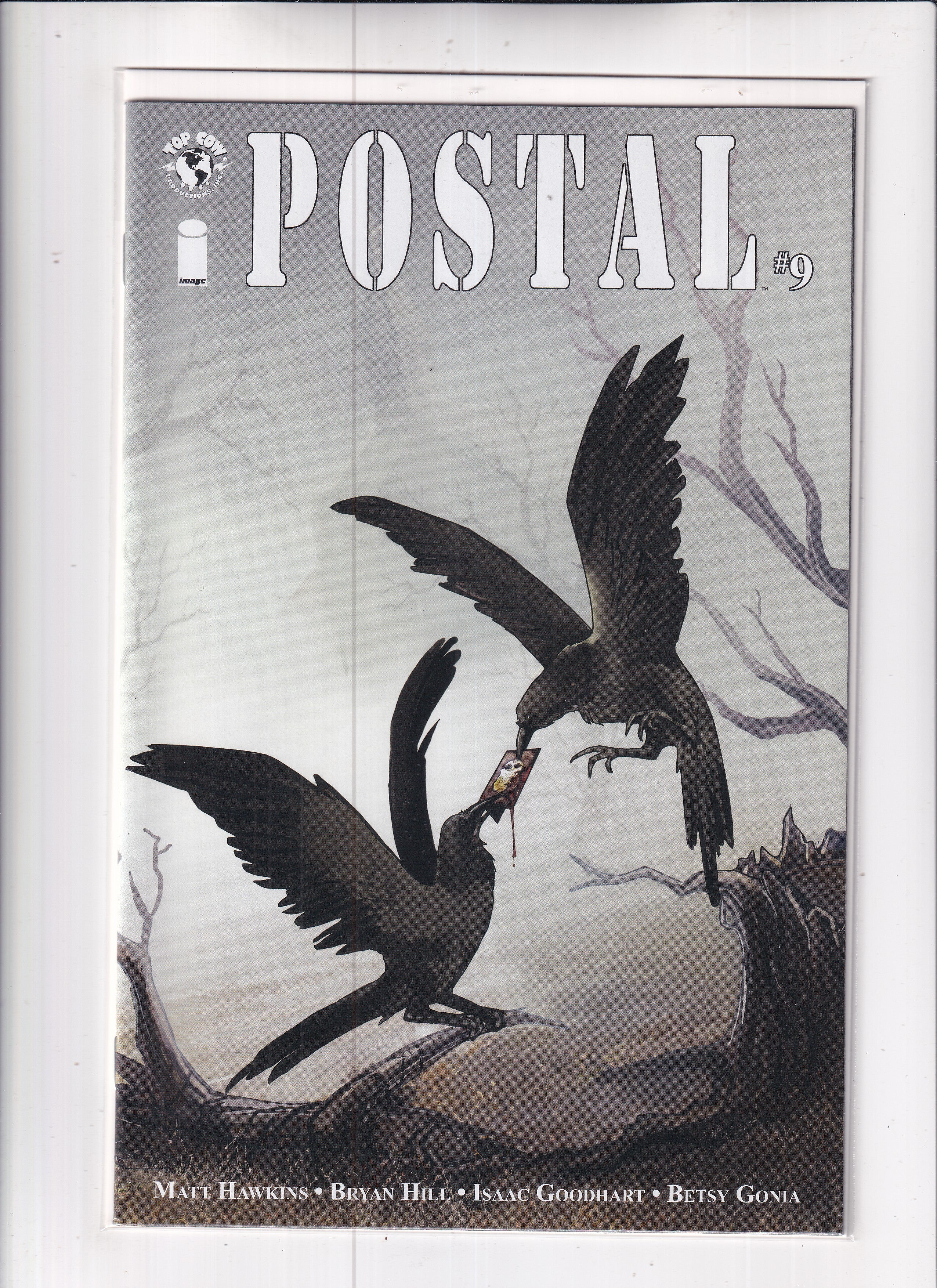 Postal #9
