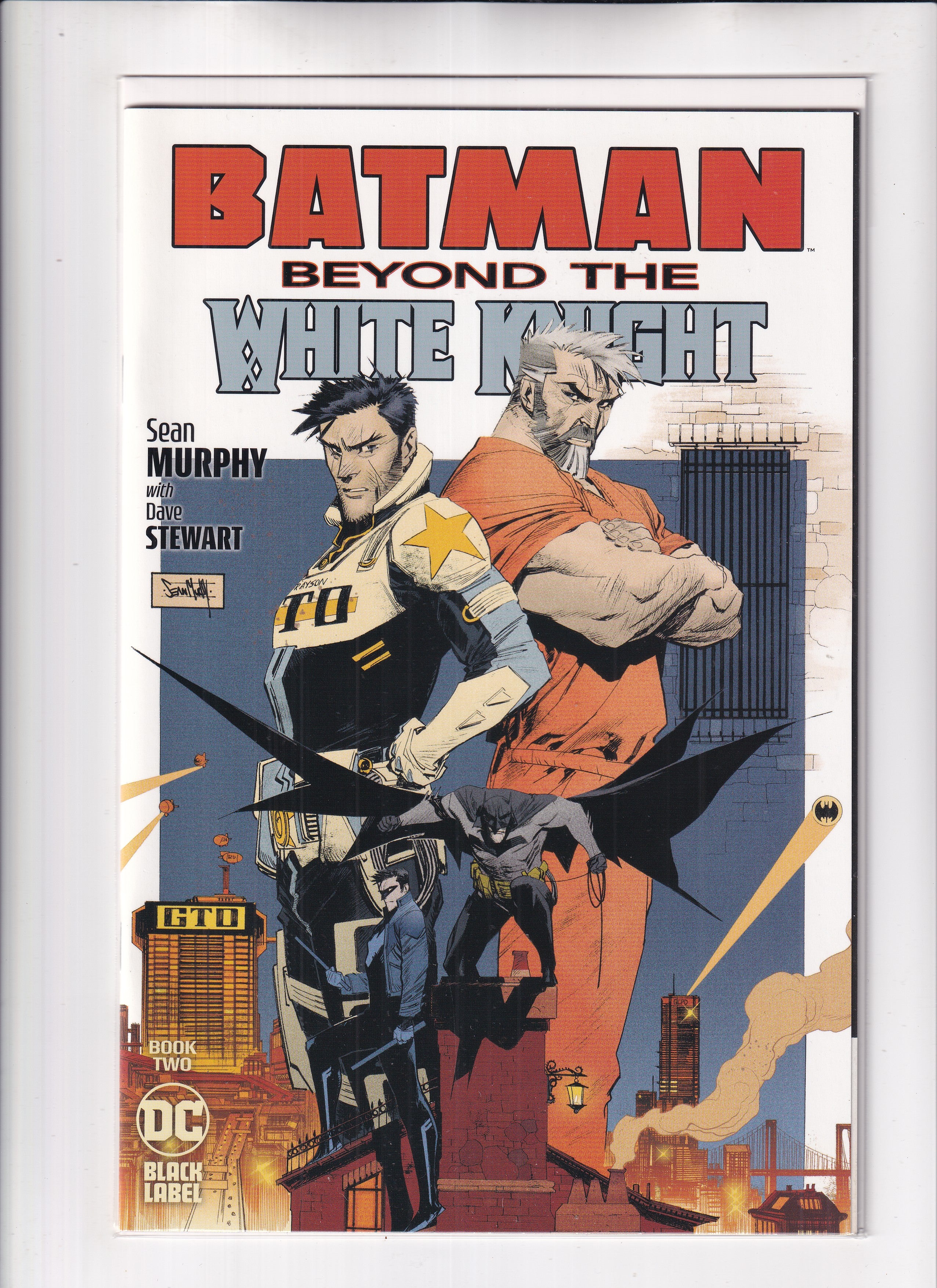 Batman Beyond the White Knight #2