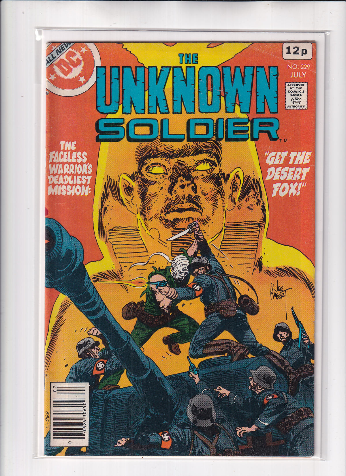 Unknown Soldier #229