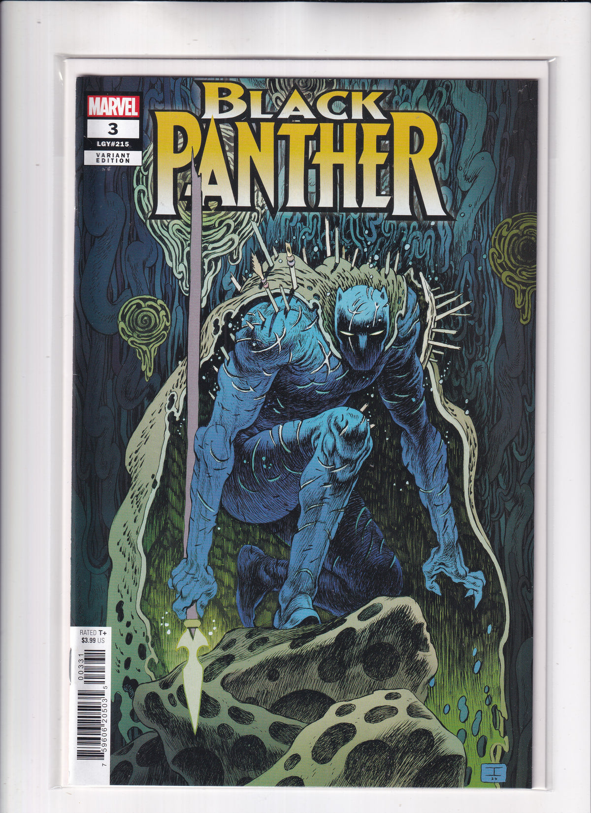 Black Panther #3 Variant - Slab City Comics 