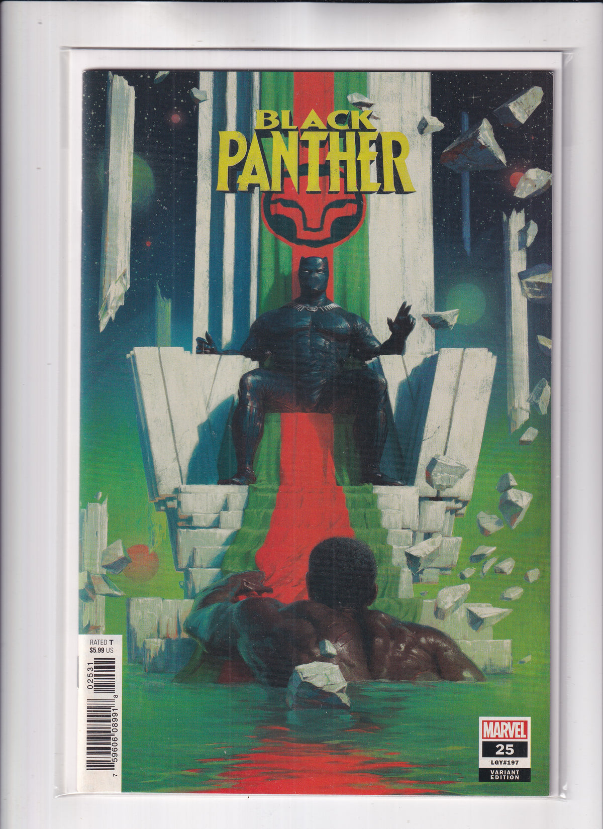 Black Panther #25 Variant - Slab City Comics 