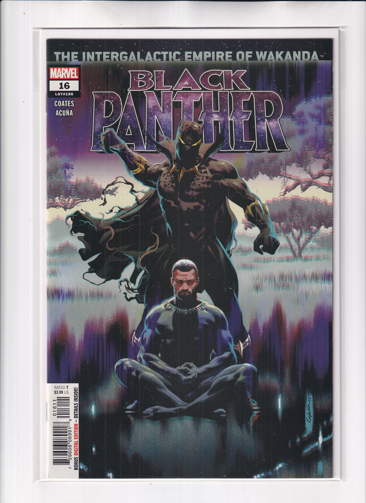 Black Panther #16 - Slab City Comics 